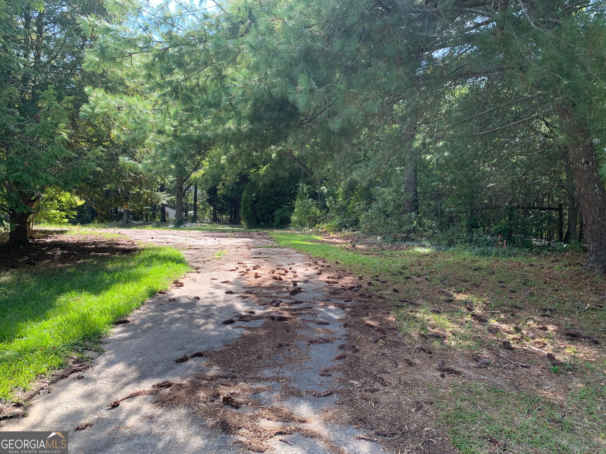 unimproved land for sale at 28 Memorial Drive, Eastanollee, GA 30538 — photo 4
