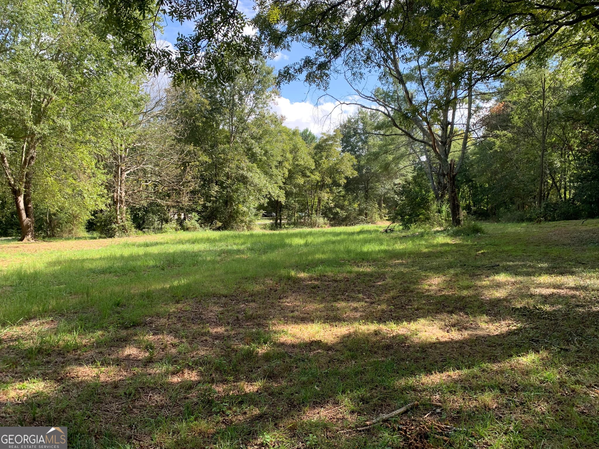 unimproved land for sale at 28 Memorial Drive, Eastanollee, GA 30538 — photo 8