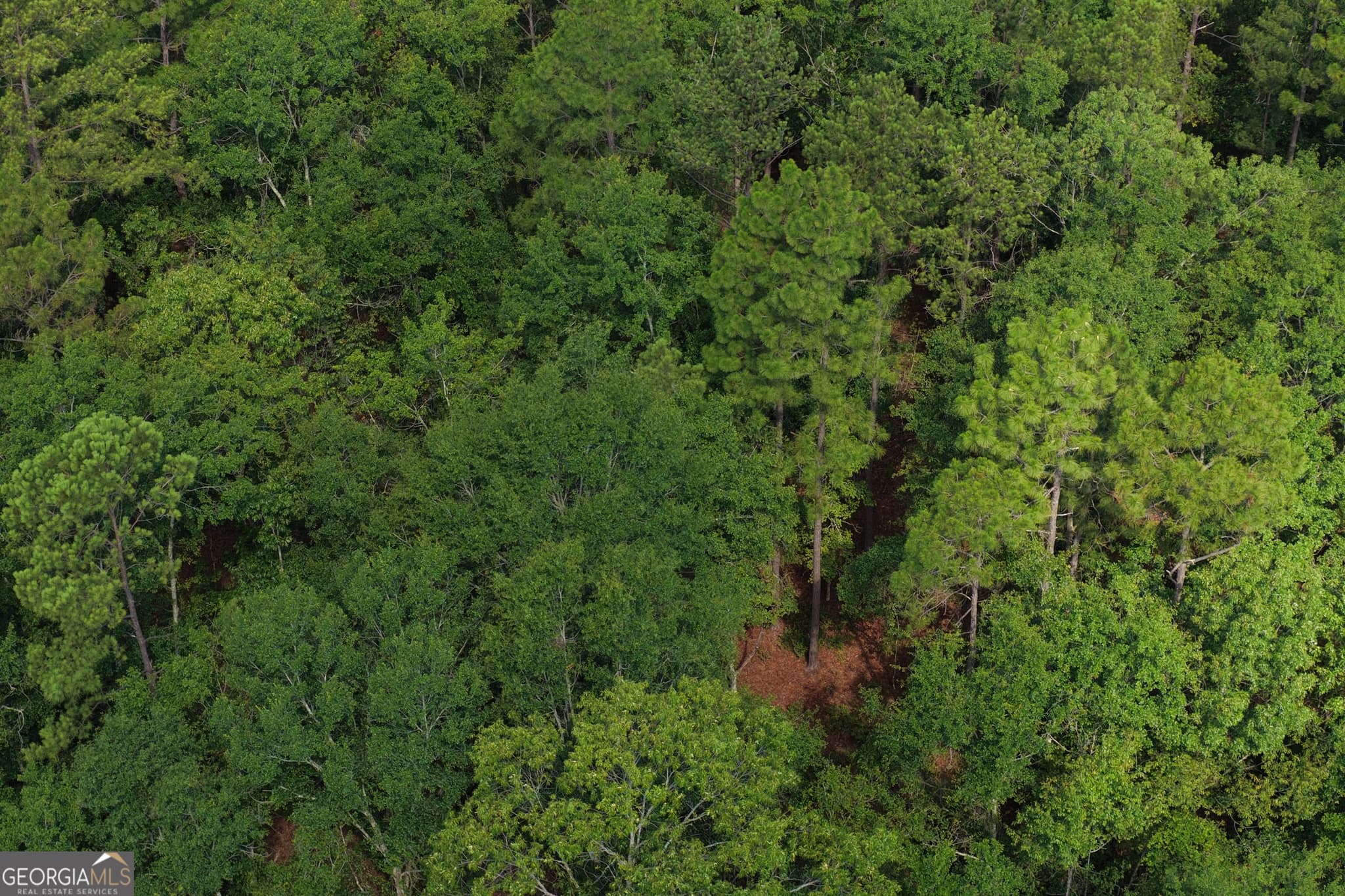 agriculture for sale at 0 Sassertown Road, Rocky Ford, GA 30455 — photo 2