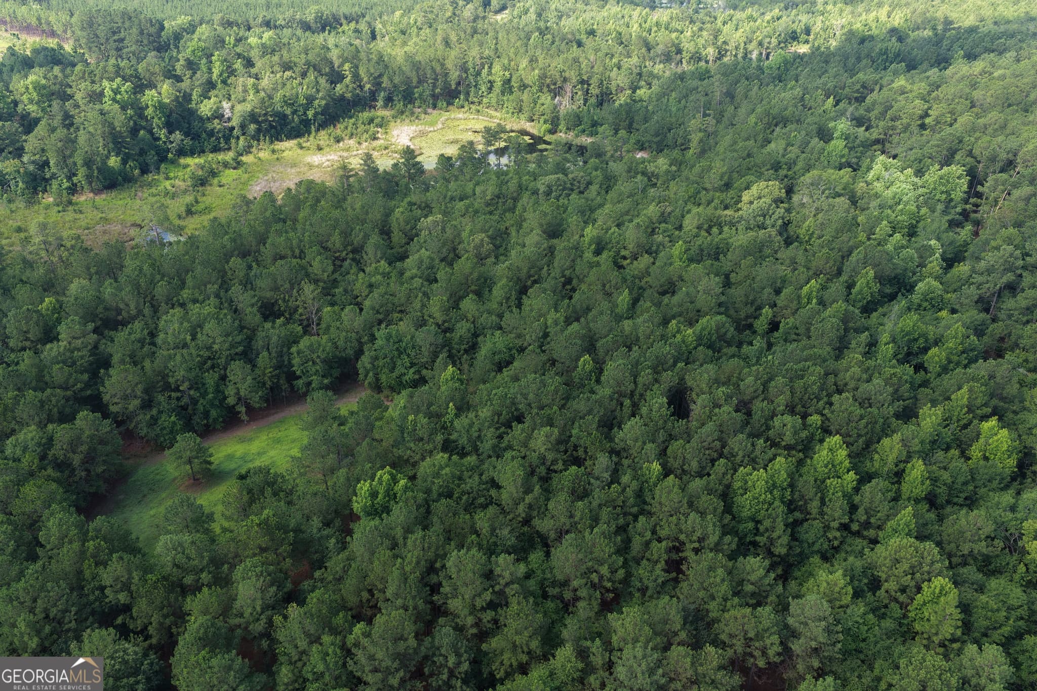 agriculture for sale at 0 Sassertown Road, Rocky Ford, GA 30455 — photo 6