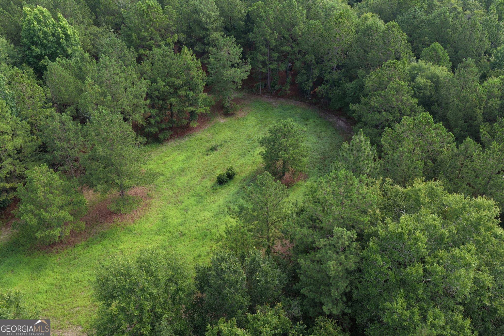 agriculture for sale at 0 Sassertown Road, Rocky Ford, GA 30455 — photo 7