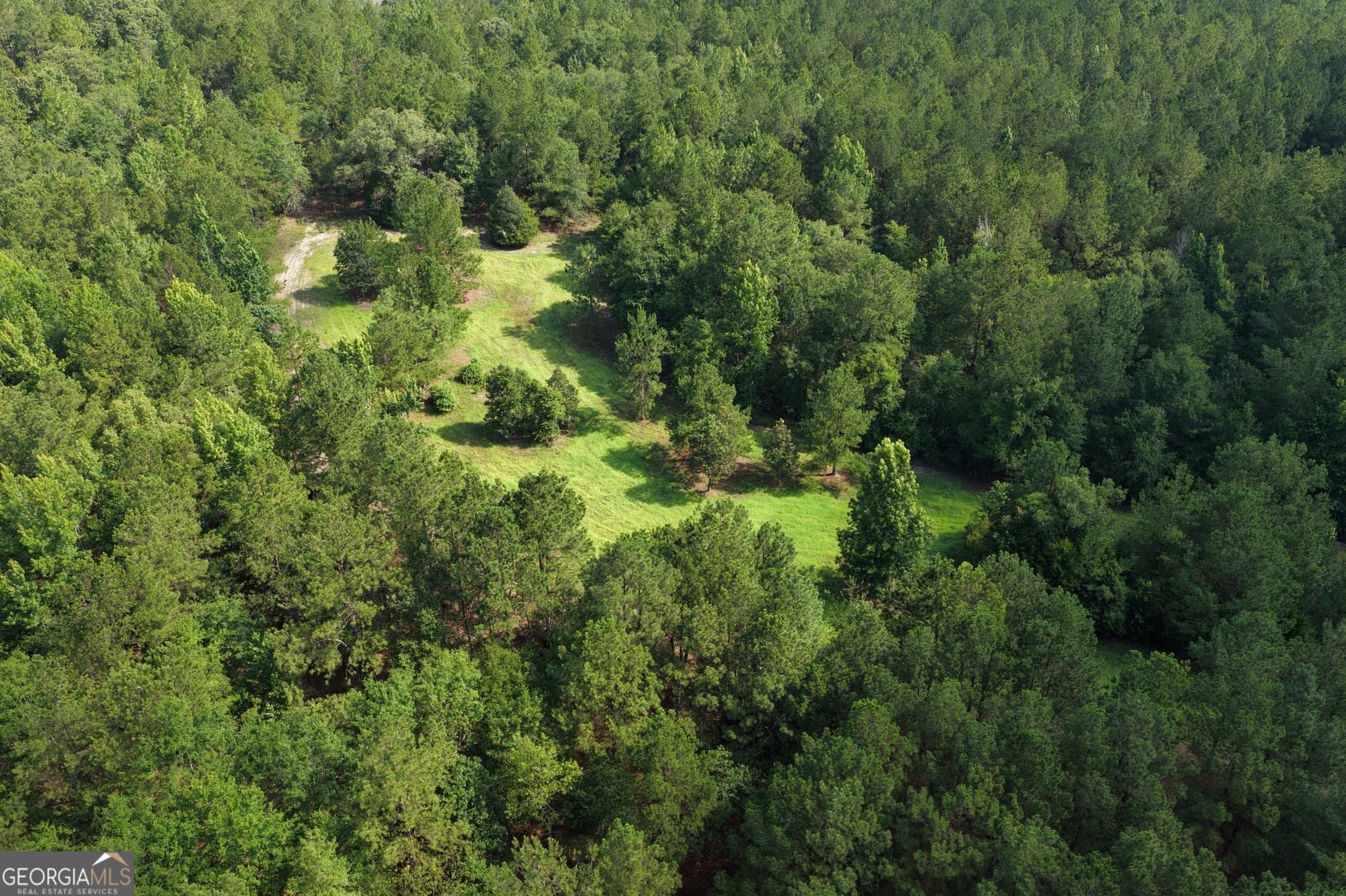 agriculture for sale at 0 Sassertown Road, Rocky Ford, GA 30455 — photo 3