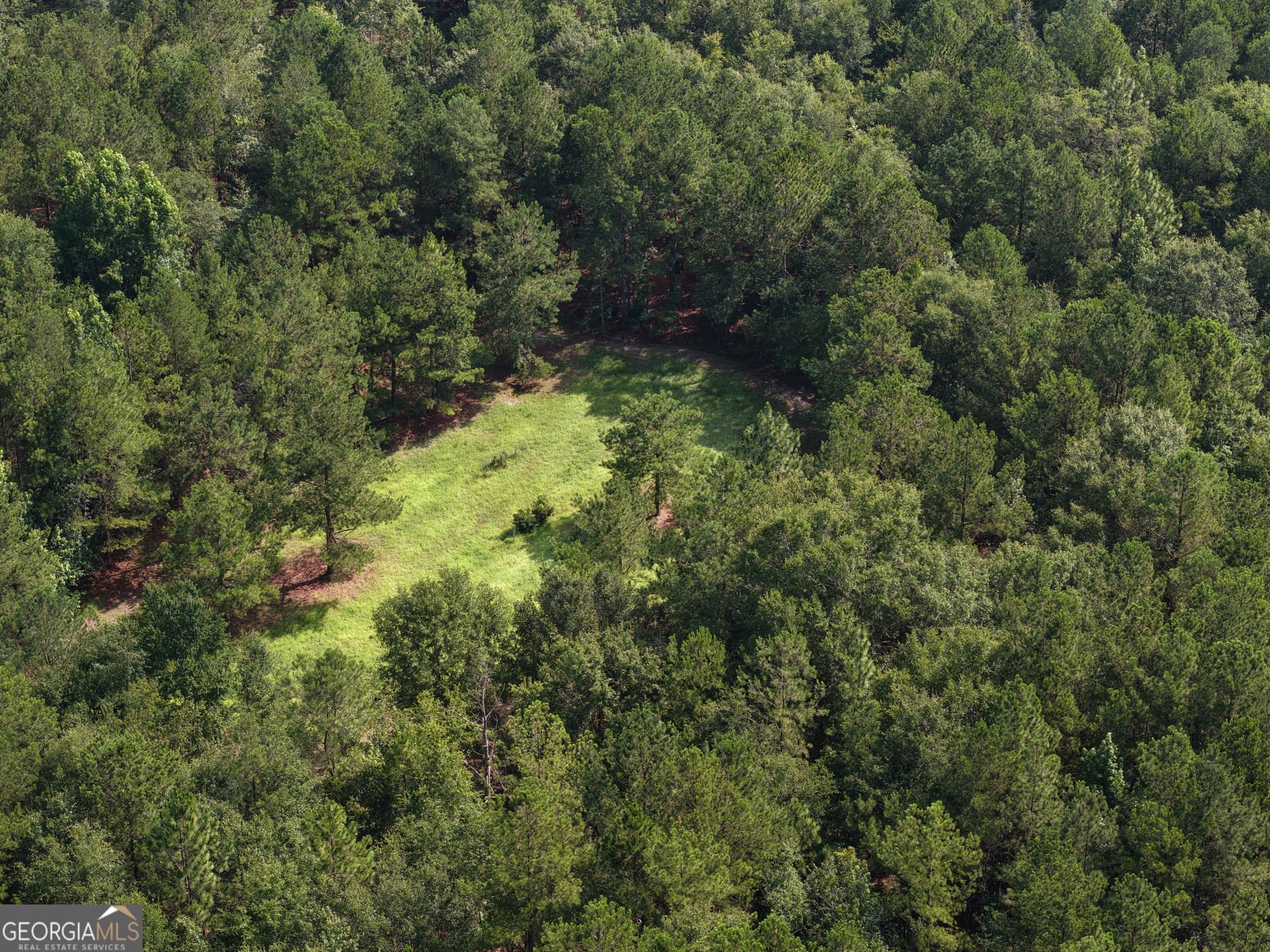 agriculture for sale at 0 Sassertown Road, Rocky Ford, GA 30455