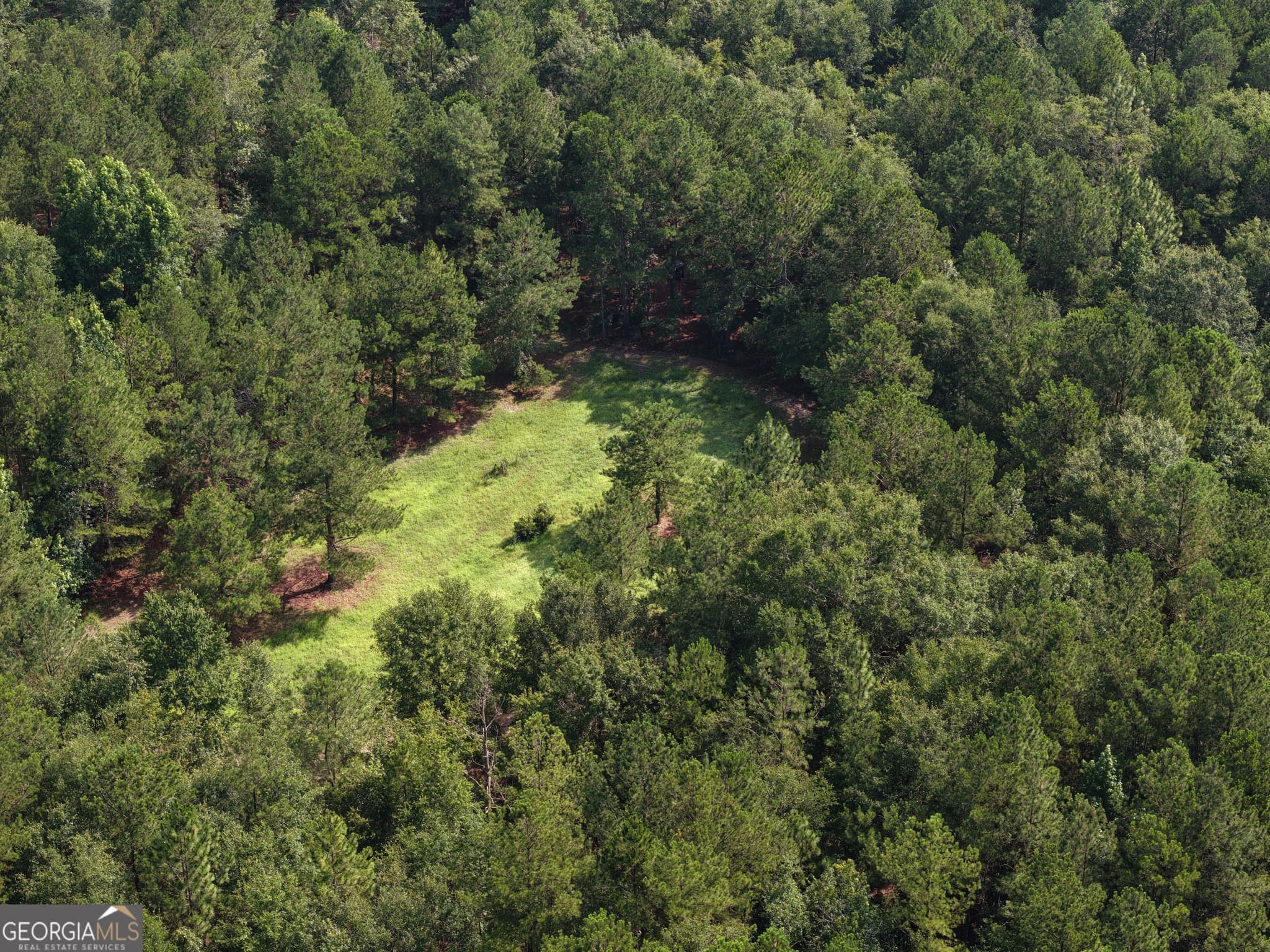 agriculture for sale at 0 Sassertown Road, Rocky Ford, GA 30455 — photo 5