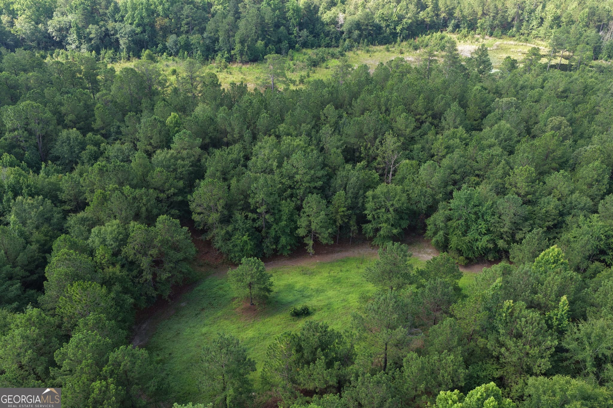 agriculture for sale at 0 Sassertown Road, Rocky Ford, GA 30455 — photo 9