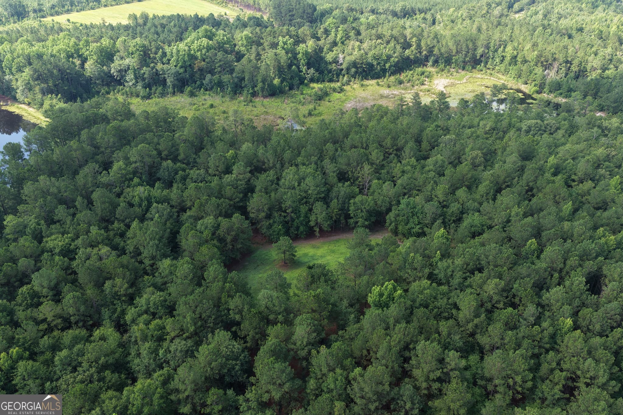 agriculture for sale at 0 Sassertown Road, Rocky Ford, GA 30455 — photo 4