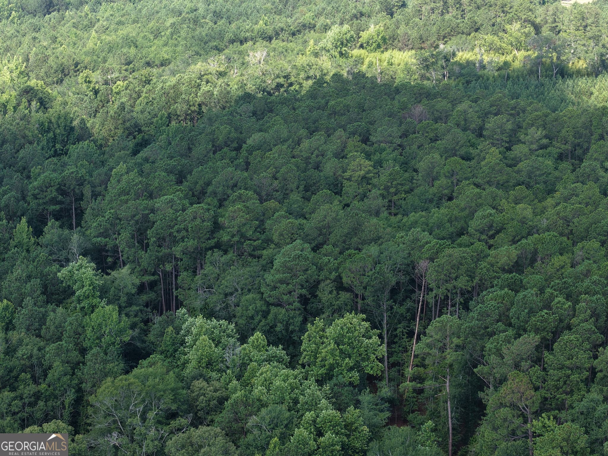 agriculture for sale at 0 Sassertown Road, Rocky Ford, GA 30455 — photo 8