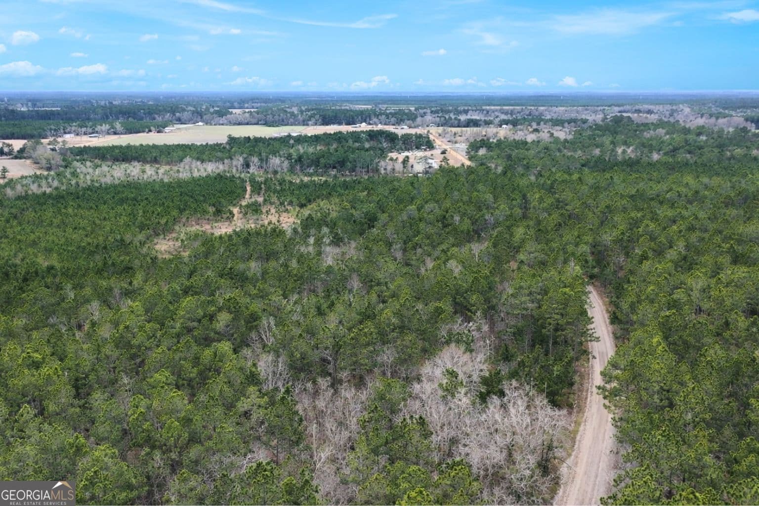 agriculture sold at TRACT 1 Wheaton Road, Odum, GA 31555