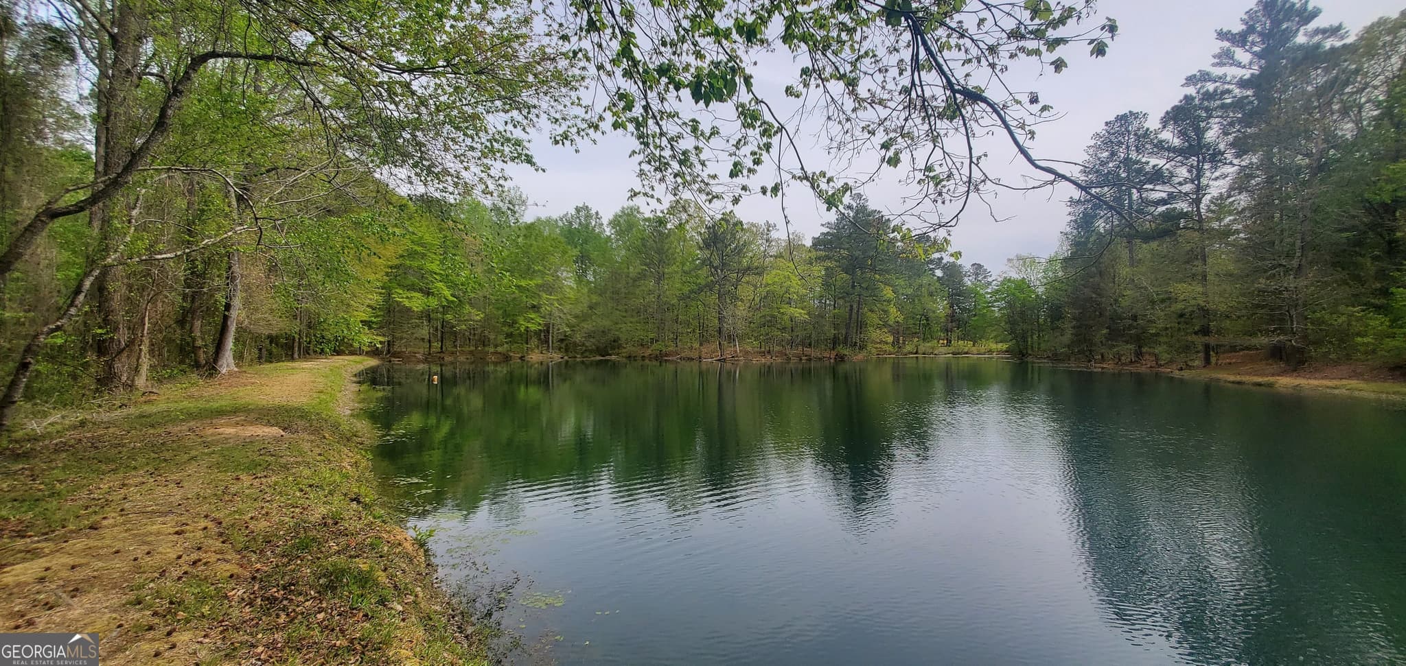 4 bedroom, 2 bathroom, 2,208 sq ft single family residence for sale at 384 Enon Grove Road, Franklin, GA 30217 — photo 7