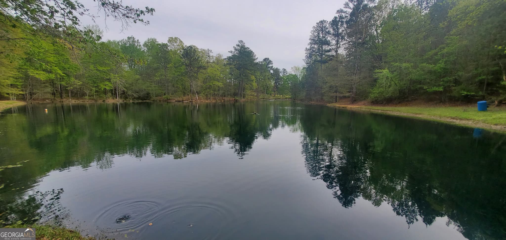 4 bedroom, 2 bathroom, 2,208 sq ft single family residence for sale at 384 Enon Grove Road, Franklin, GA 30217 — photo 5
