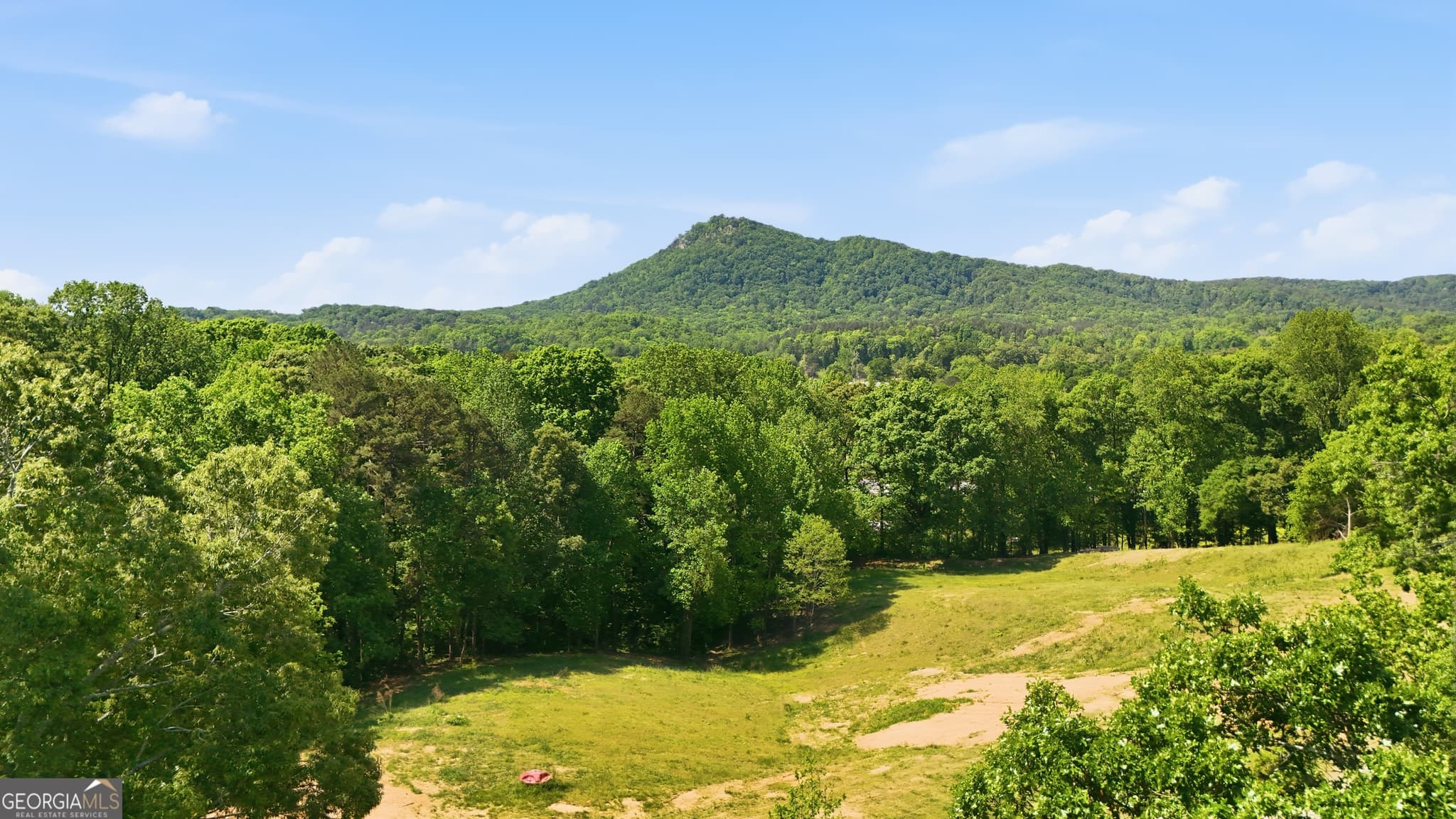 agriculture for sale at 3120 W Currahee Street, Toccoa, GA 30577 — photo 6