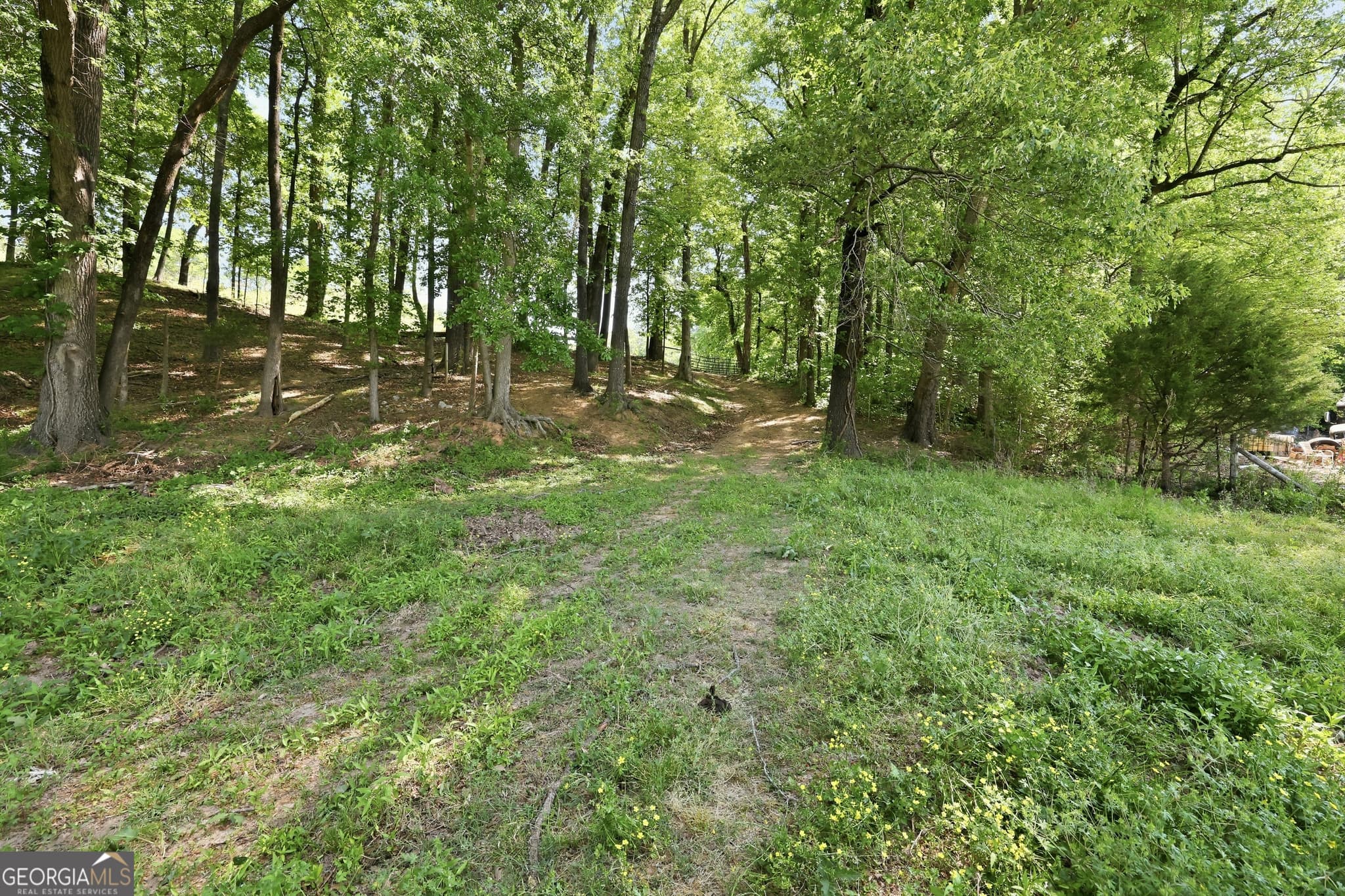 agriculture for sale at 3120 W Currahee Street, Toccoa, GA 30577 — photo 3