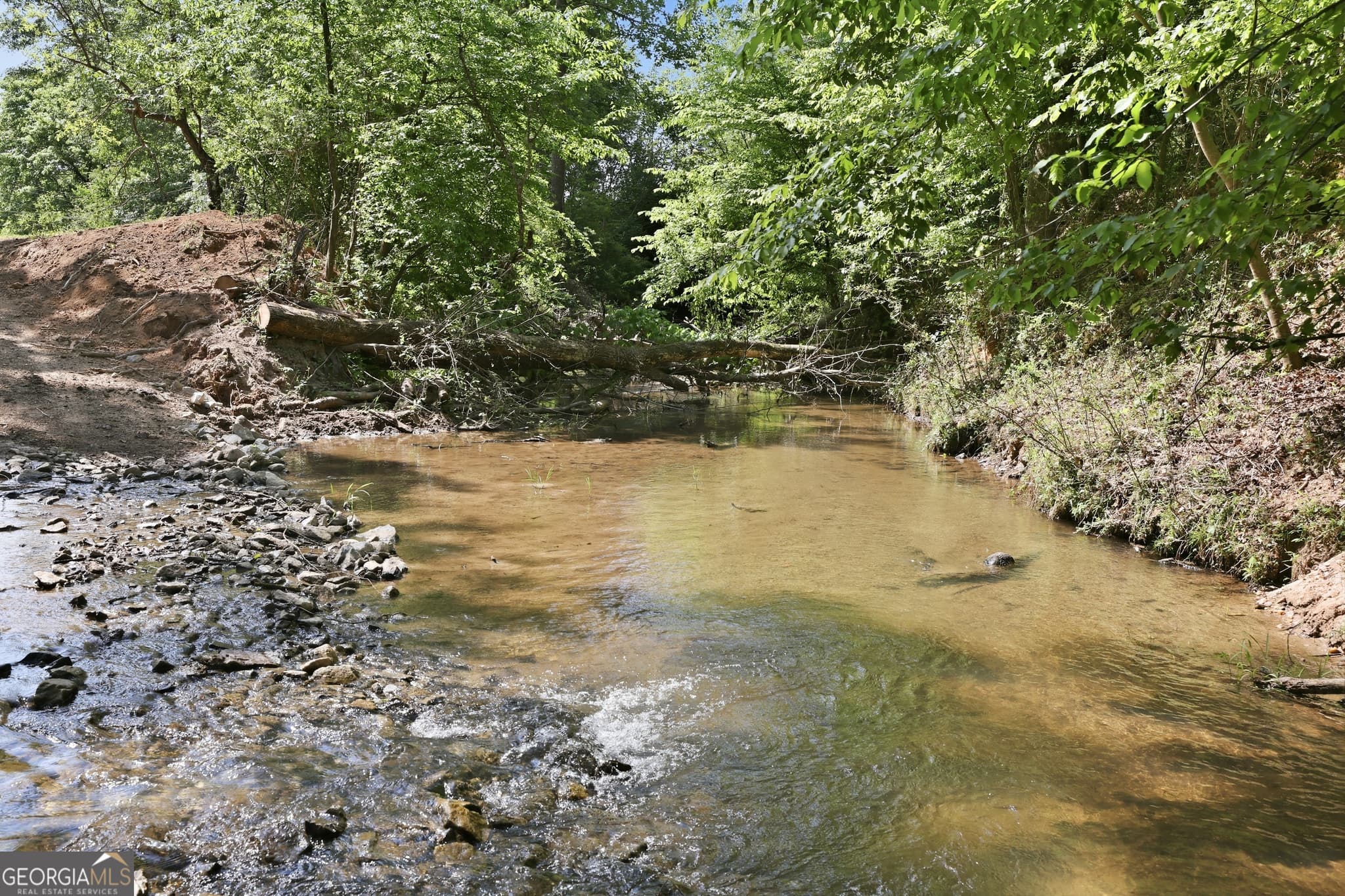 agriculture for sale at 3120 W Currahee Street, Toccoa, GA 30577 — photo 5
