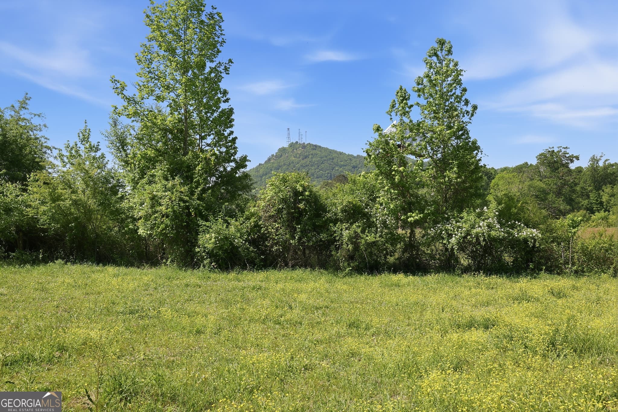 agriculture for sale at 3120 W Currahee Street, Toccoa, GA 30577 — photo 4