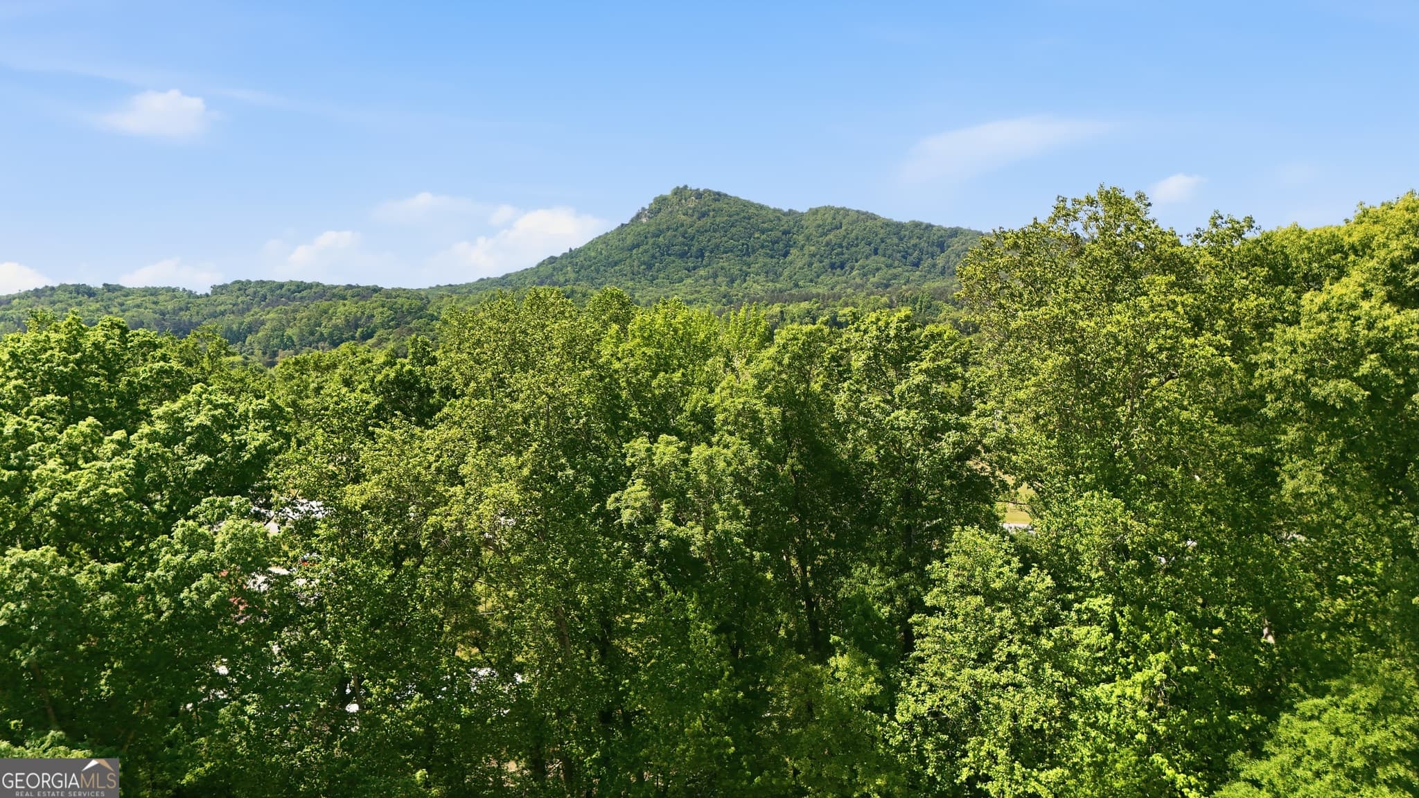 agriculture for sale at 3120 W Currahee Street, Toccoa, GA 30577 — photo 8