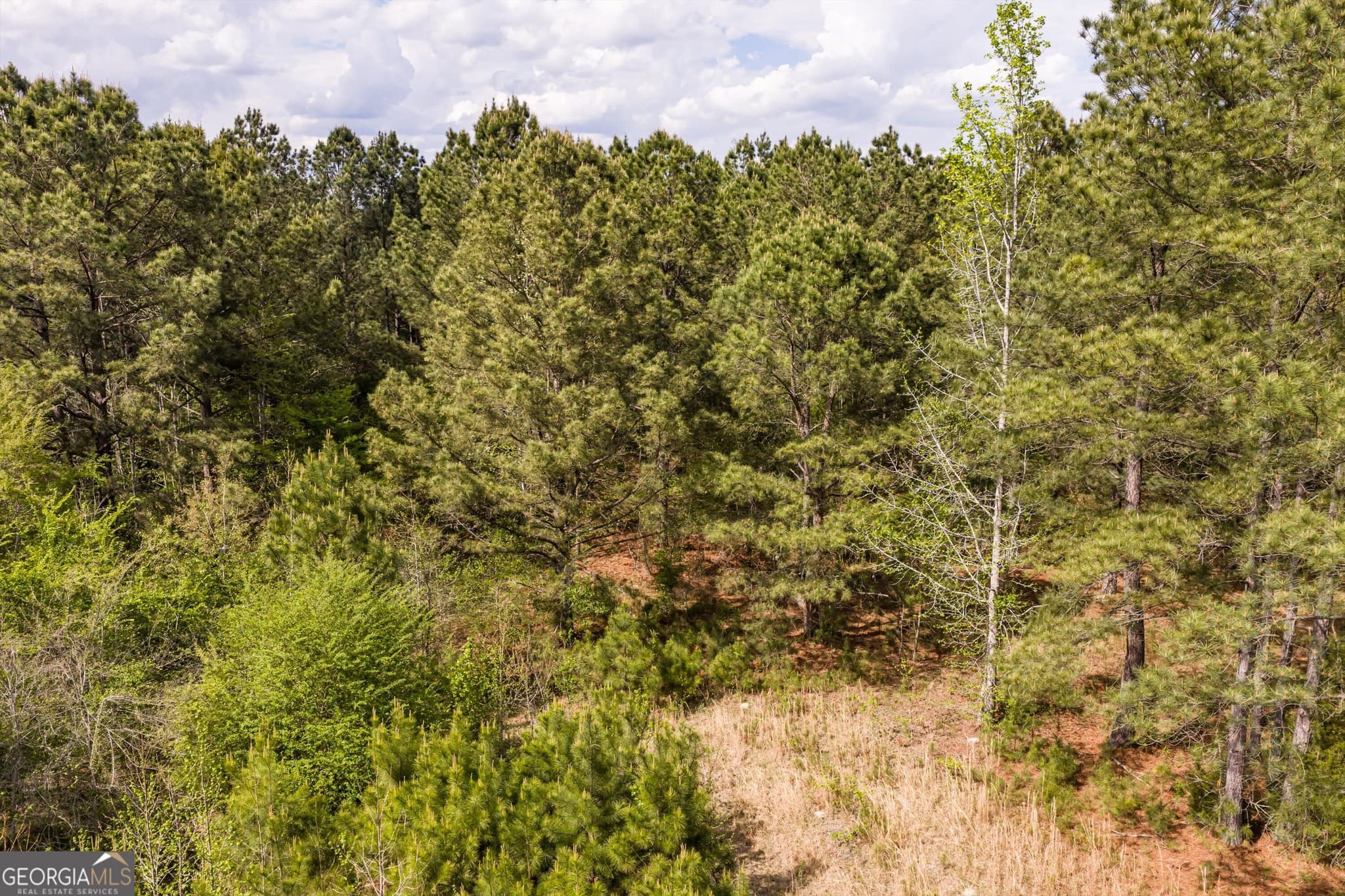 unimproved land for sale at 4.17 ACRES Starr Hinson Road, Thomson, GA 30824 — photo 6