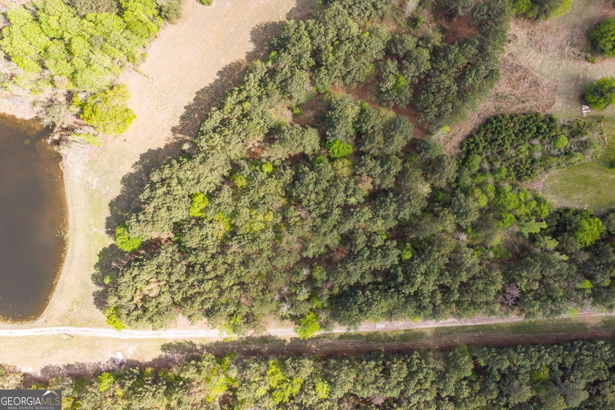 unimproved land for sale at 4.17 ACRES Starr Hinson Road, Thomson, GA 30824 — photo 9