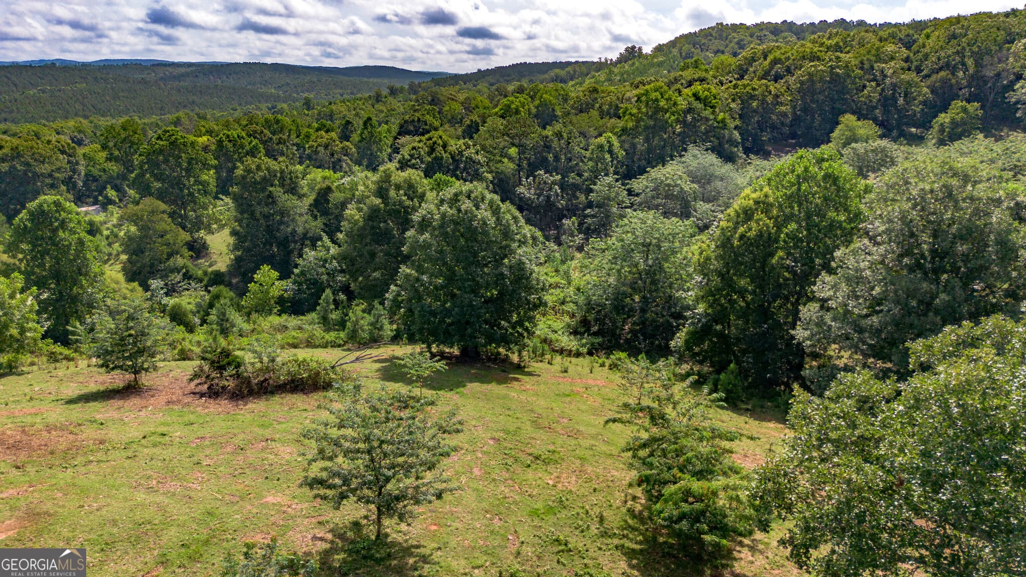 residential lot for sale at 5967 County Road 19 LOT 2, Heflin, AL 36264 — photo 4