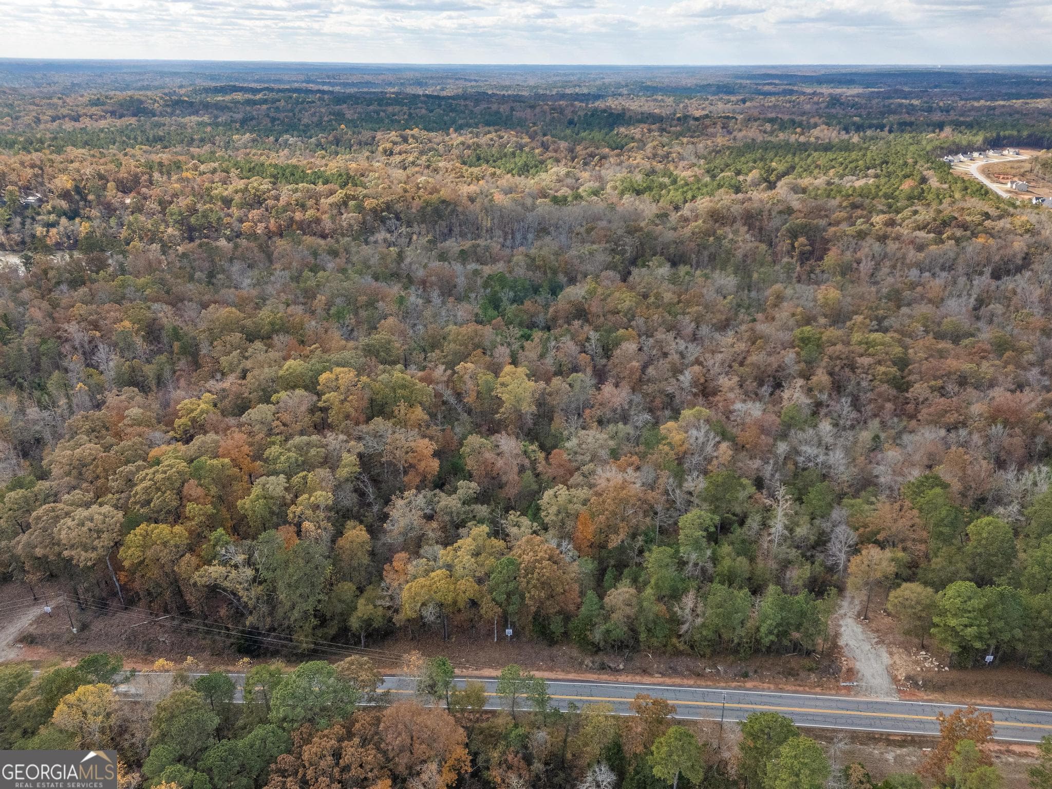 residential lot for sale at 11550 Highway 212, Covington, GA 30014 — photo 4