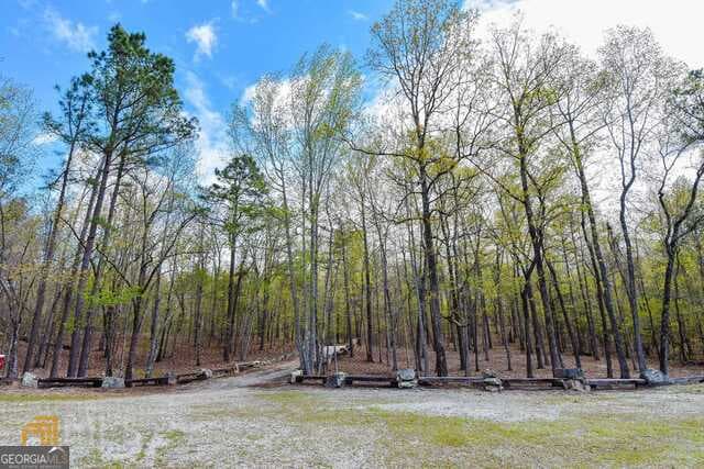 agriculture under contract at 928 Hwy 19, Meansville, GA 30256 — photo 8