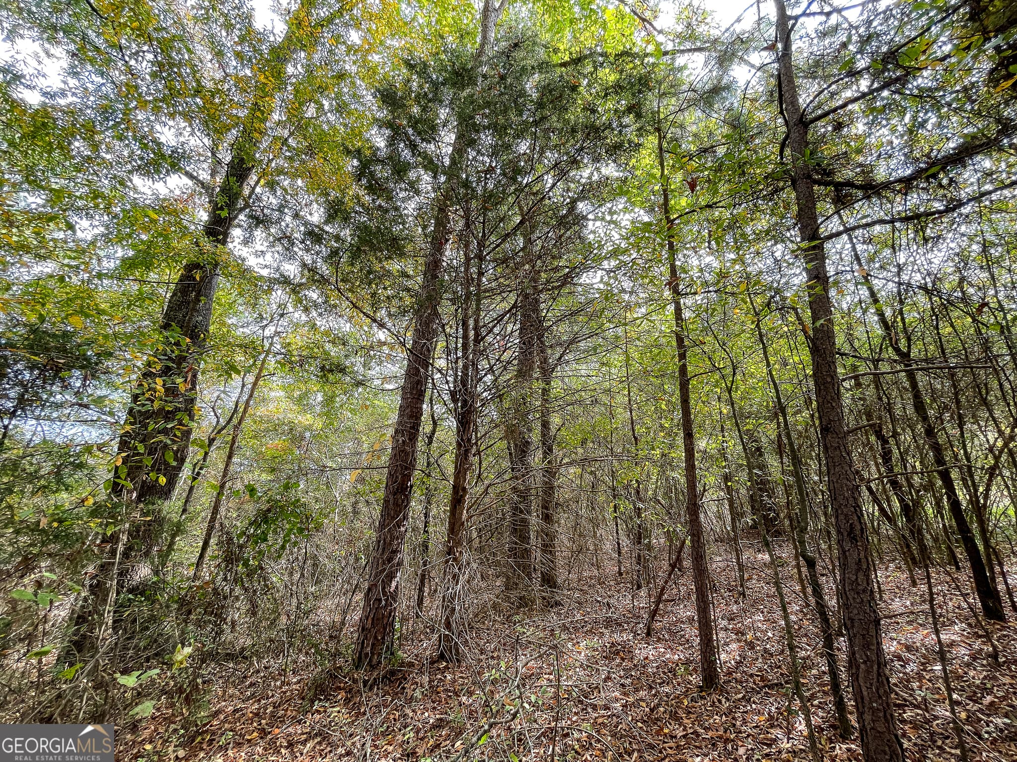 commercial for sale at 0 Prior Station Road, Cedartown, GA 30125 — photo 7