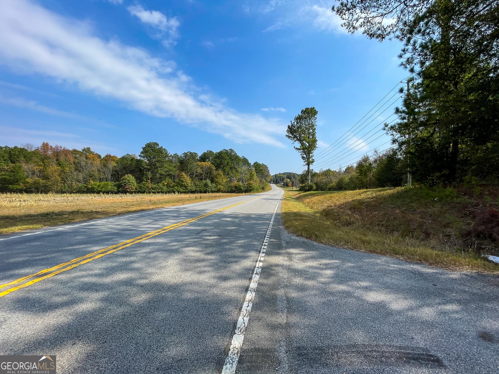 commercial for sale at 0 Prior Station Road, Cedartown, GA 30125 — photo 3