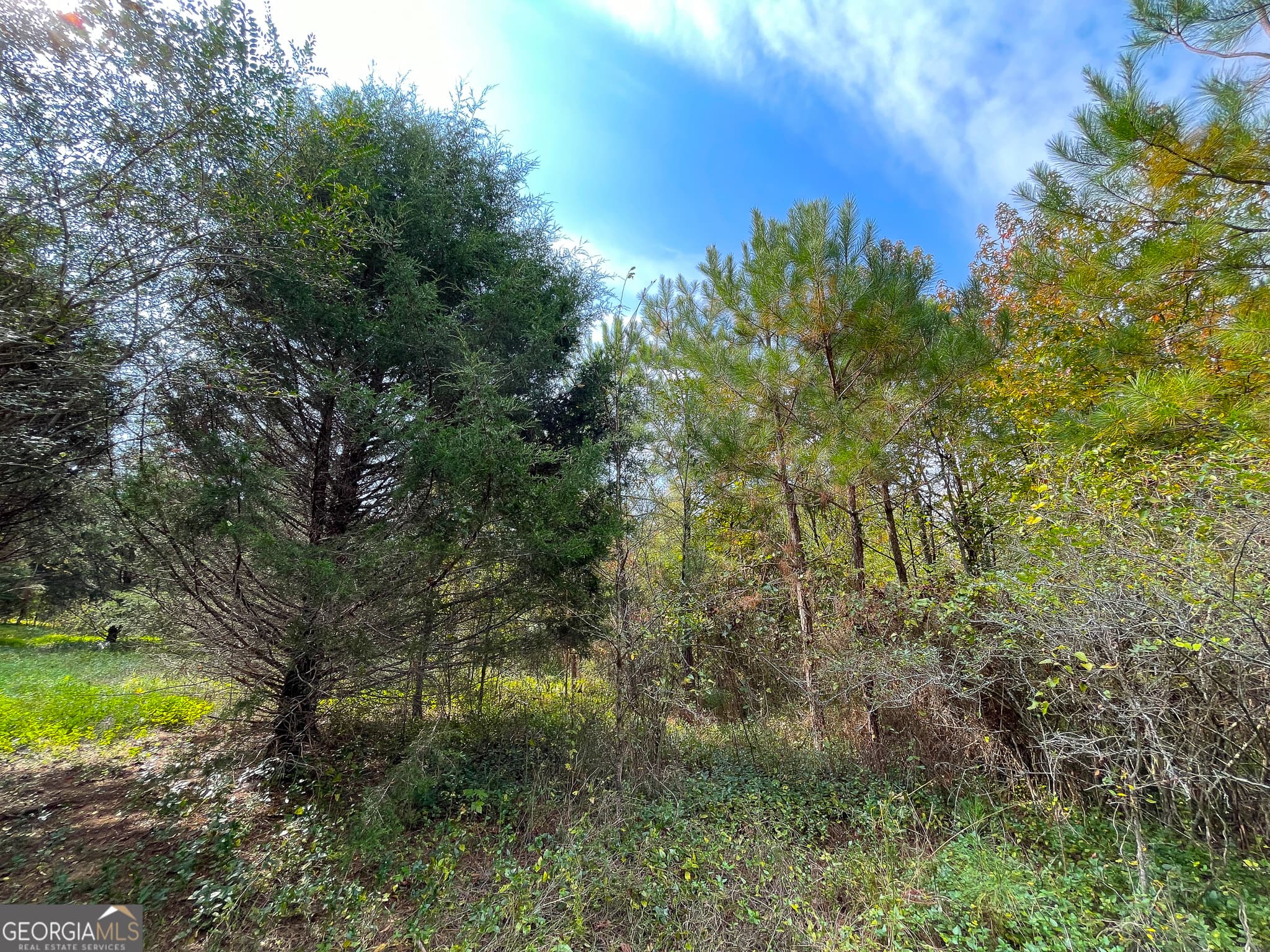 commercial for sale at 0 Prior Station Road, Cedartown, GA 30125 — photo 9
