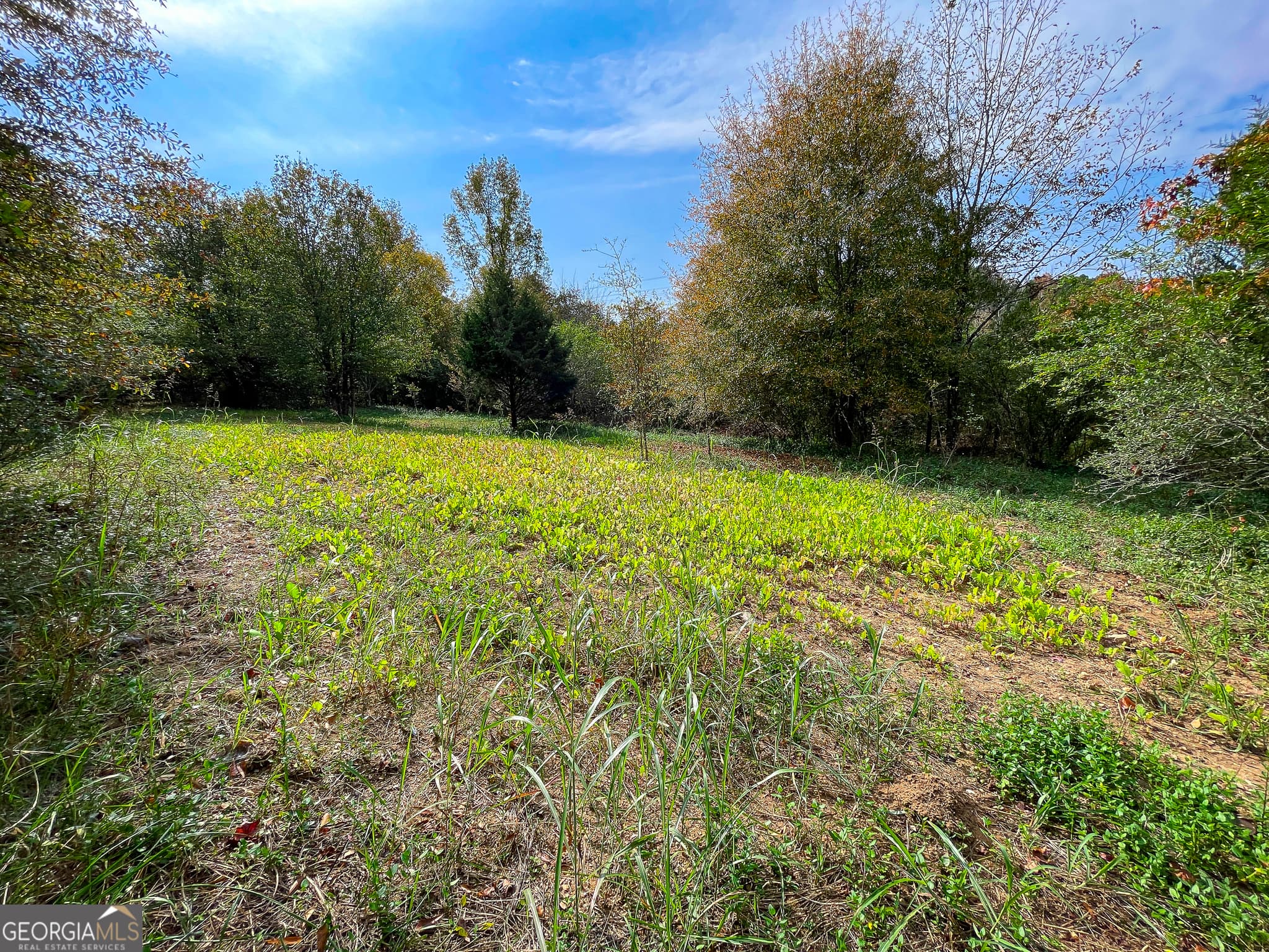 commercial for sale at 0 Prior Station Road, Cedartown, GA 30125 — photo 4