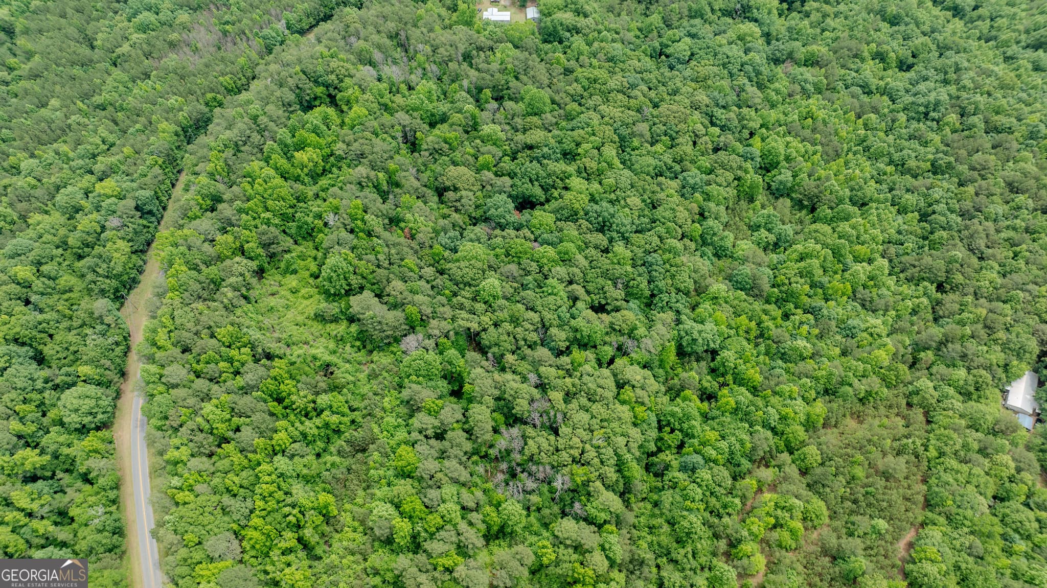 residential lot for sale at 0 Almond Road, Franklin, GA 30217 — photo 6