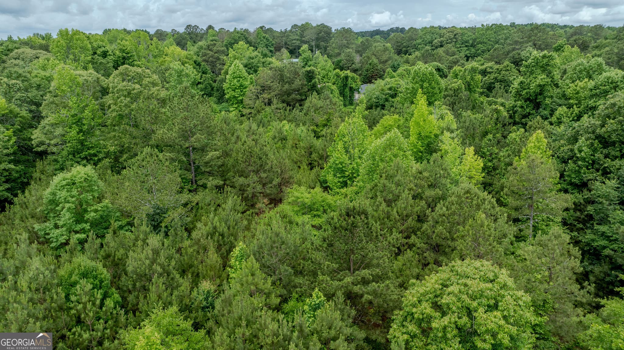 residential lot for sale at 0 Almond Road, Franklin, GA 30217 — photo 9
