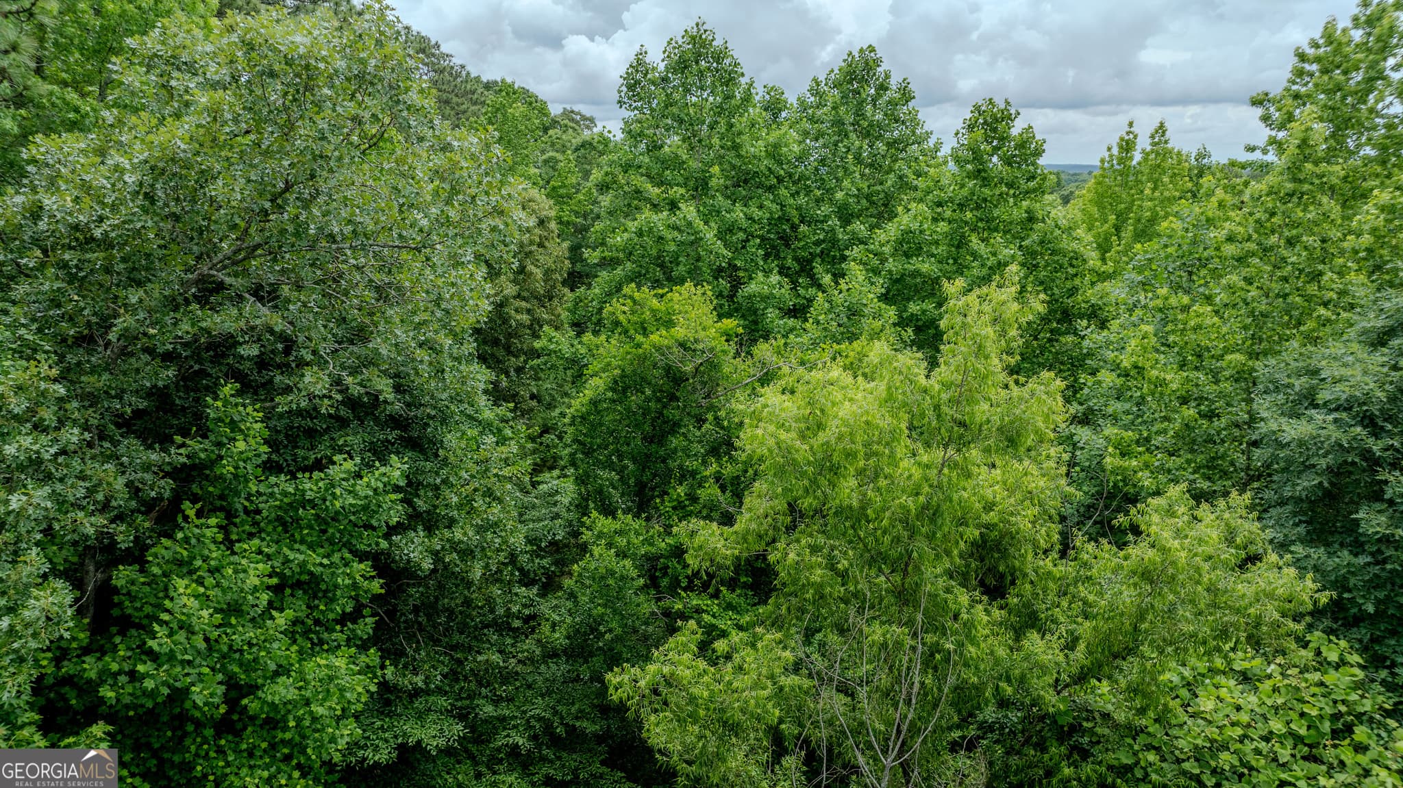 residential lot for sale at 0 Almond Road, Franklin, GA 30217 — photo 10