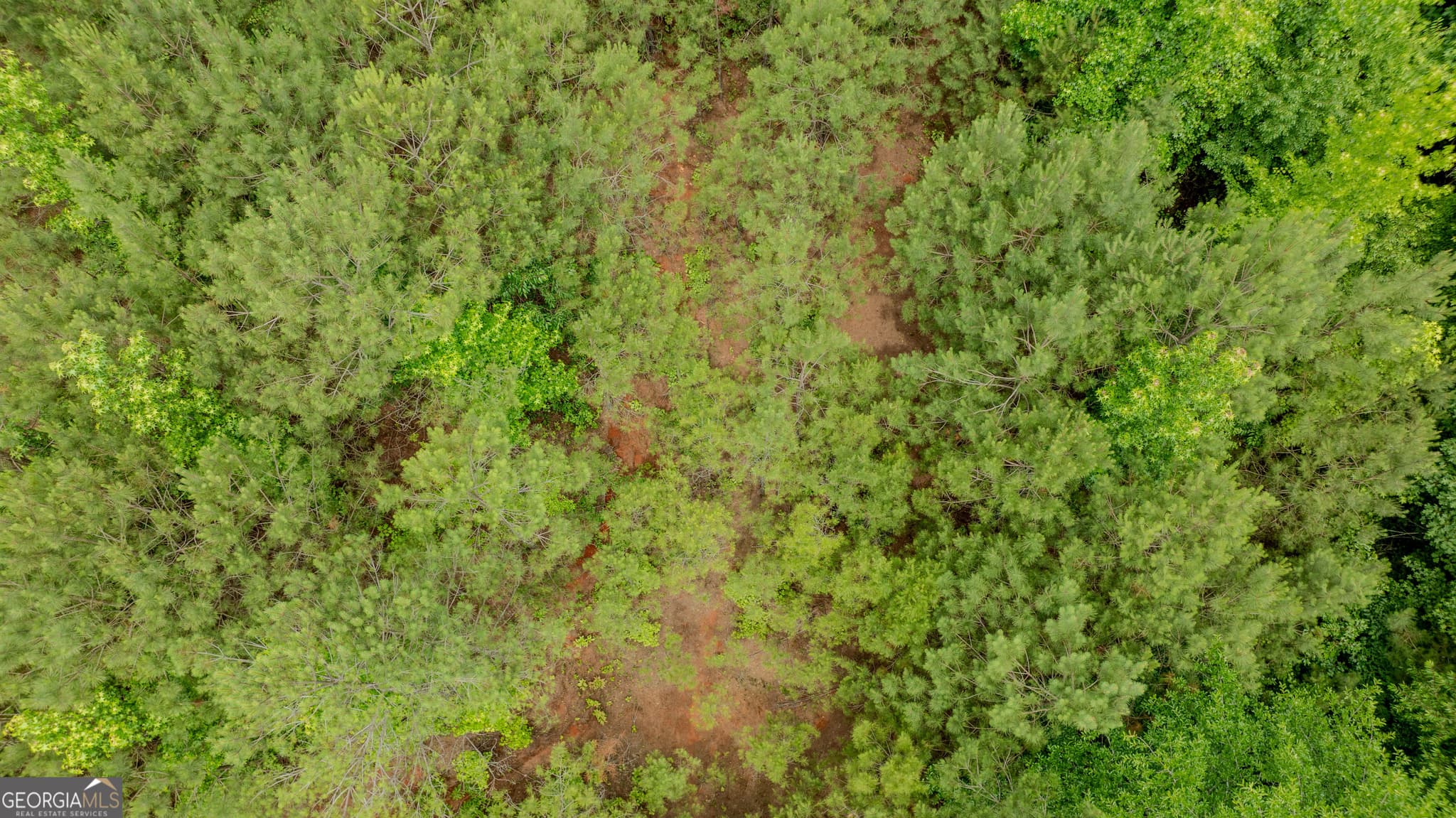residential lot for sale at 0 Almond Road, Franklin, GA 30217 — photo 8