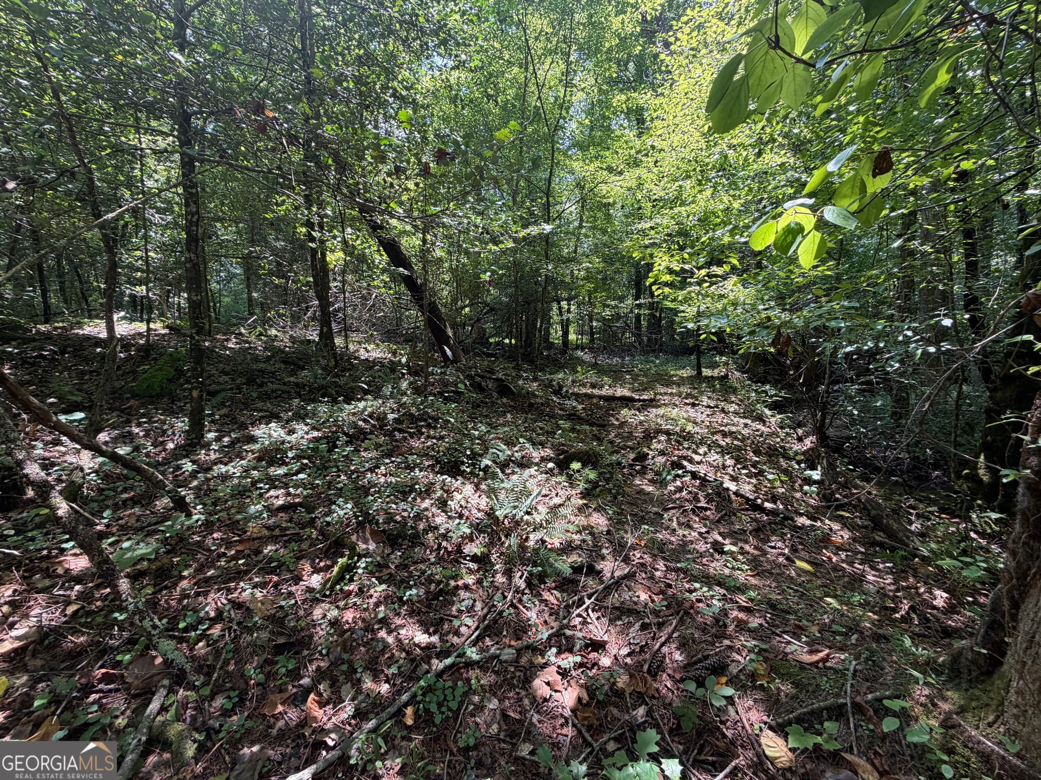 residential lot for sale at 0 Alpine Drive, Sautee Nacoochee, GA 30571 — photo 6