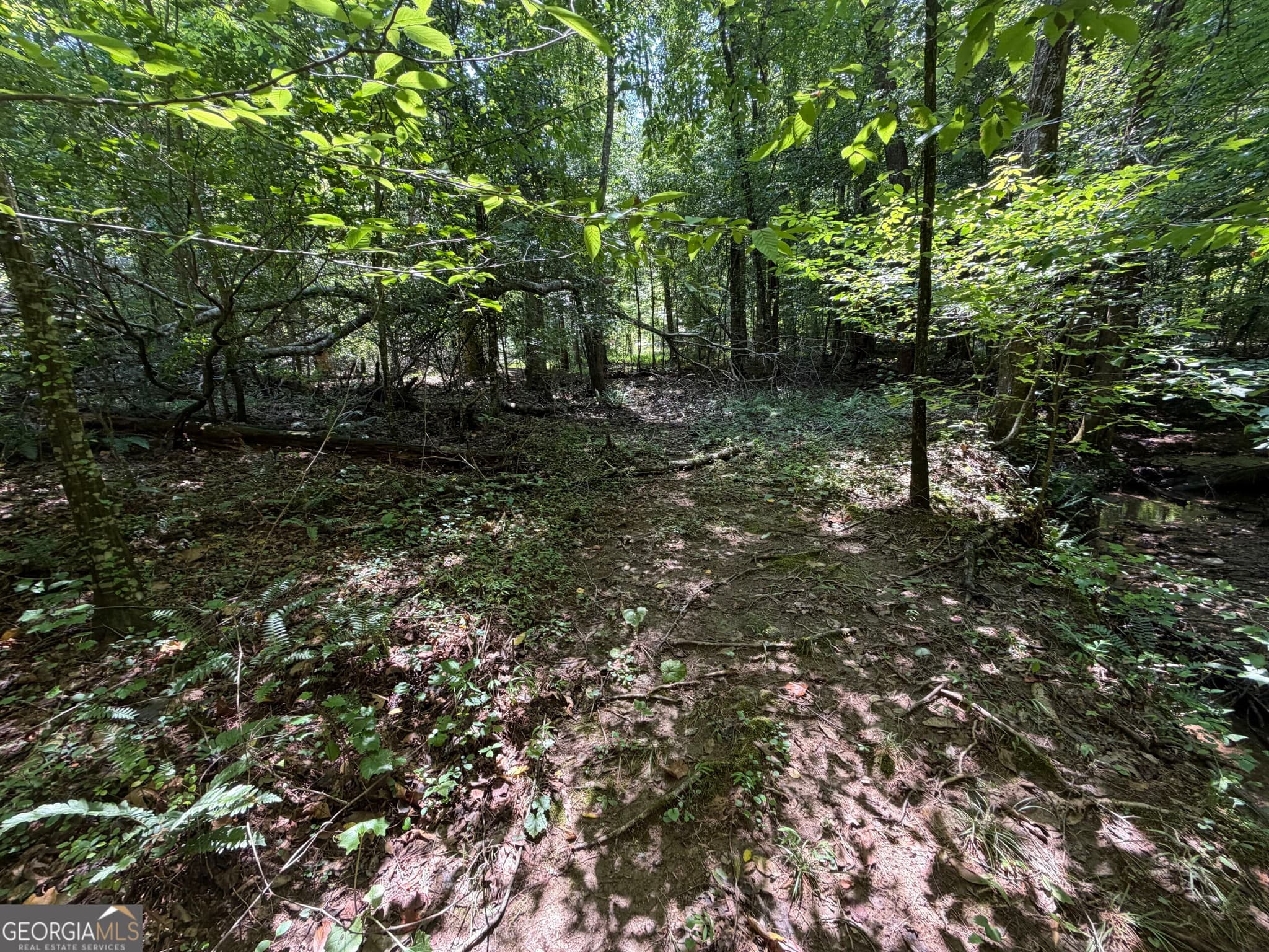 residential lot for sale at 0 Alpine Drive, Sautee Nacoochee, GA 30571 — photo 7