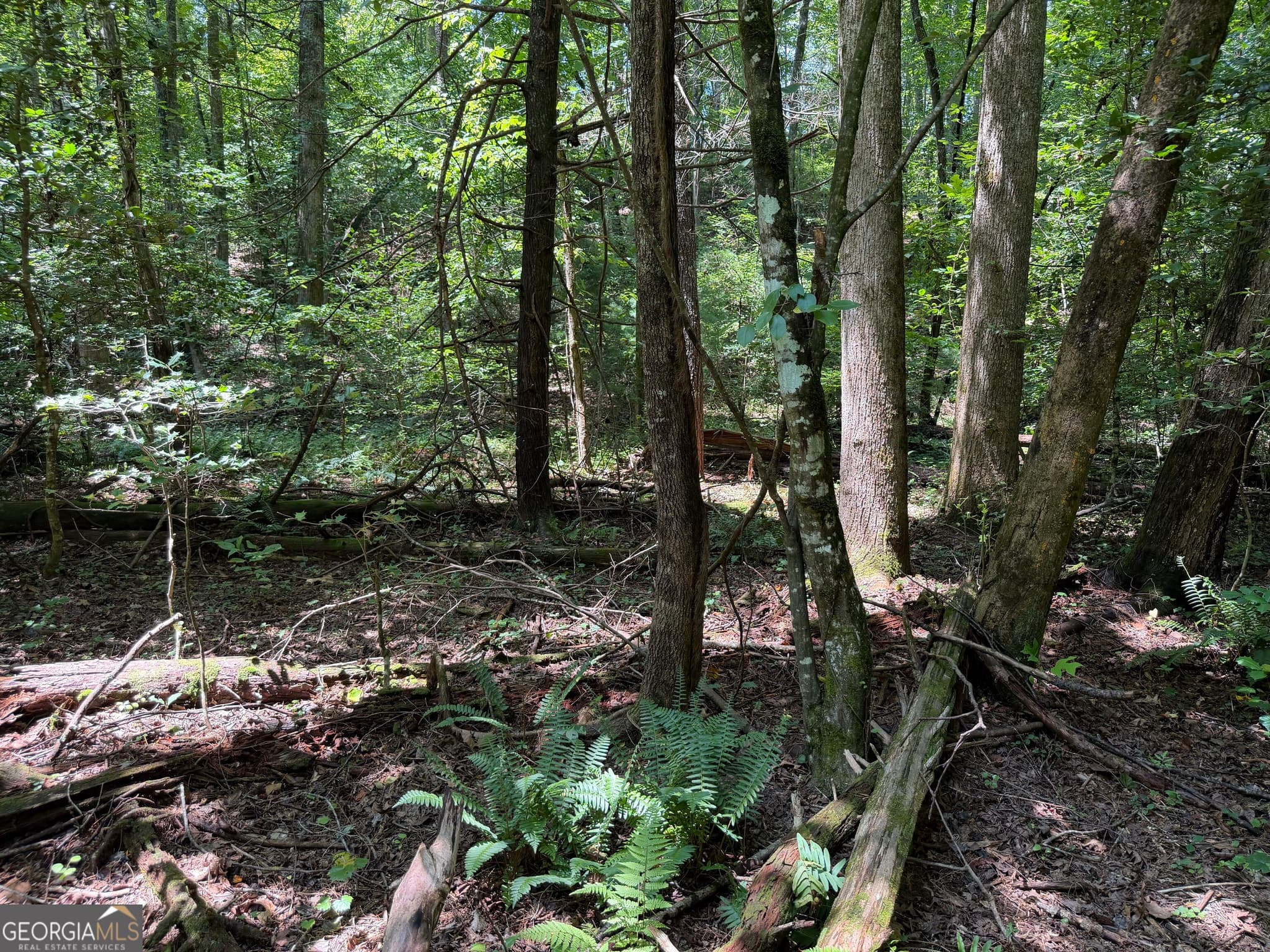 residential lot for sale at 0 Alpine Drive, Sautee Nacoochee, GA 30571 — photo 3