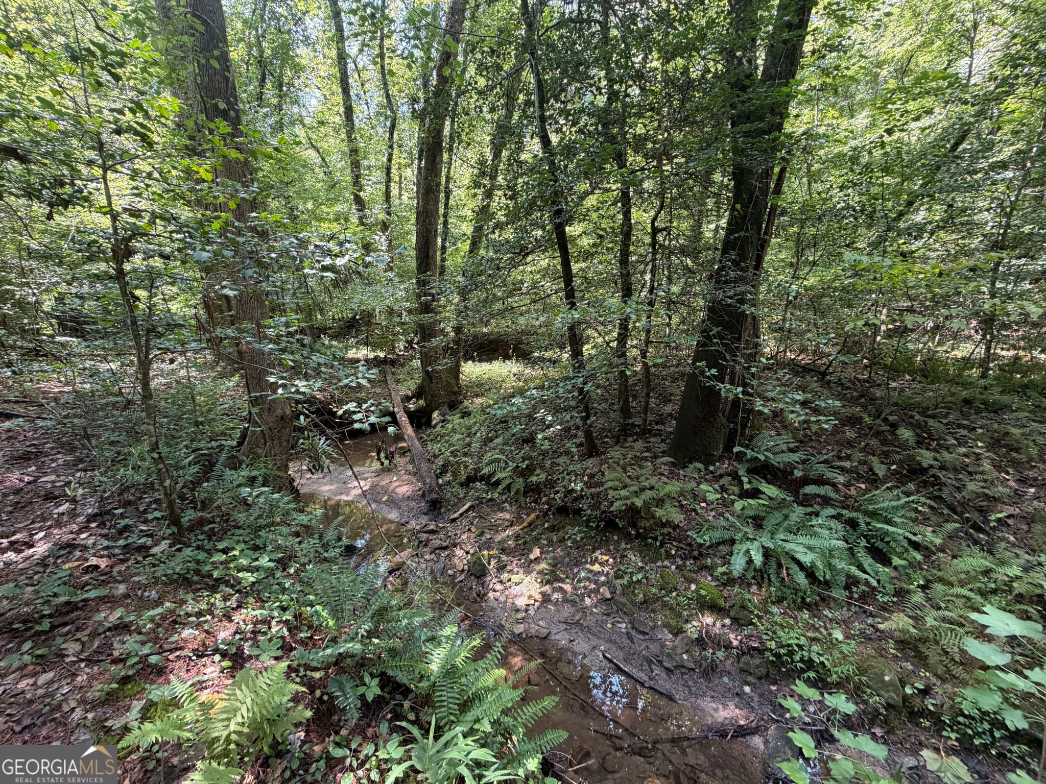 residential lot for sale at 0 Alpine Drive, Sautee Nacoochee, GA 30571 — photo 1 of 31