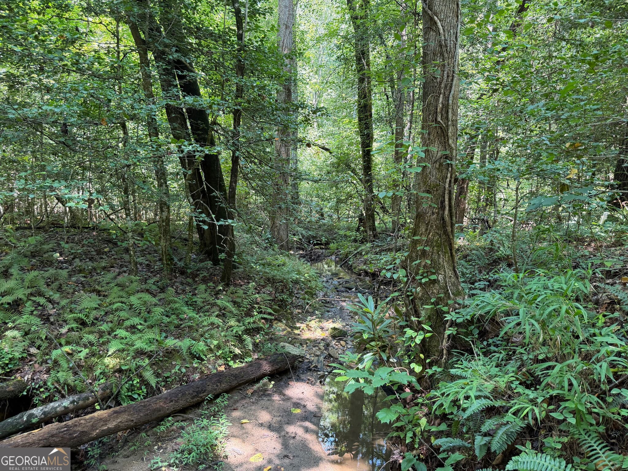 residential lot for sale at 0 Alpine Drive, Sautee Nacoochee, GA 30571 — photo 5