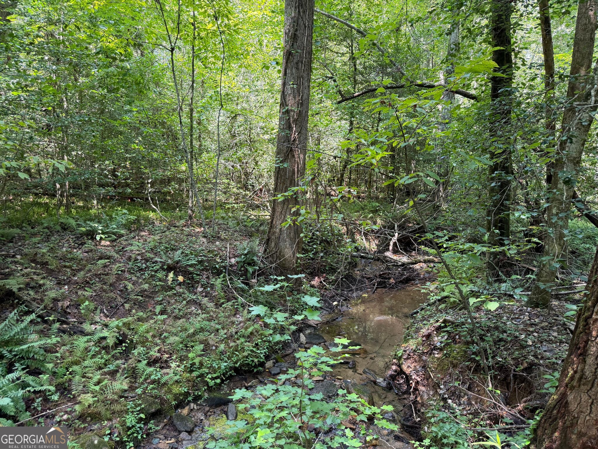 residential lot for sale at 0 Alpine Drive, Sautee Nacoochee, GA 30571 — photo 9