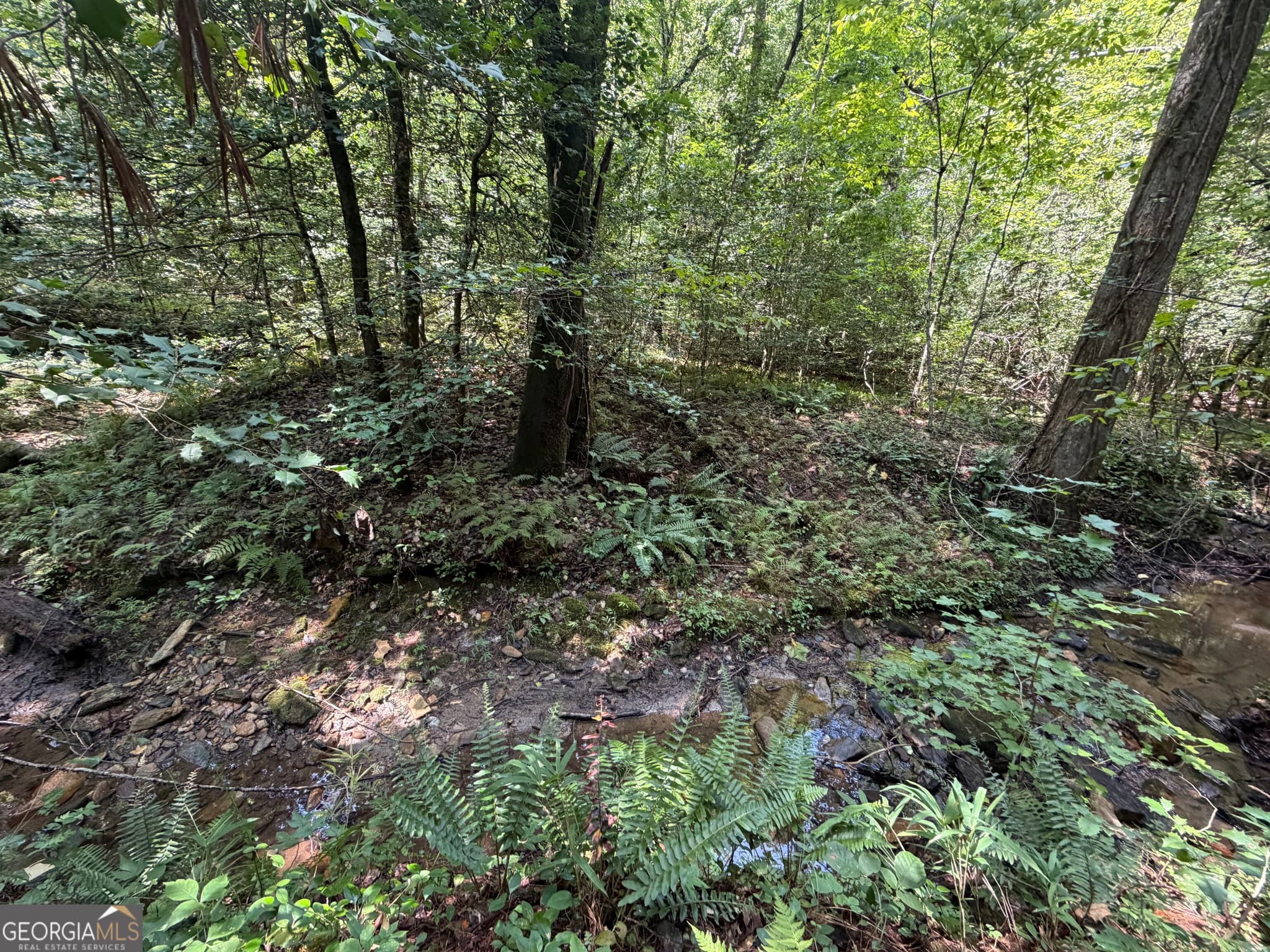 residential lot for sale at 0 Alpine Drive, Sautee Nacoochee, GA 30571 — photo 10