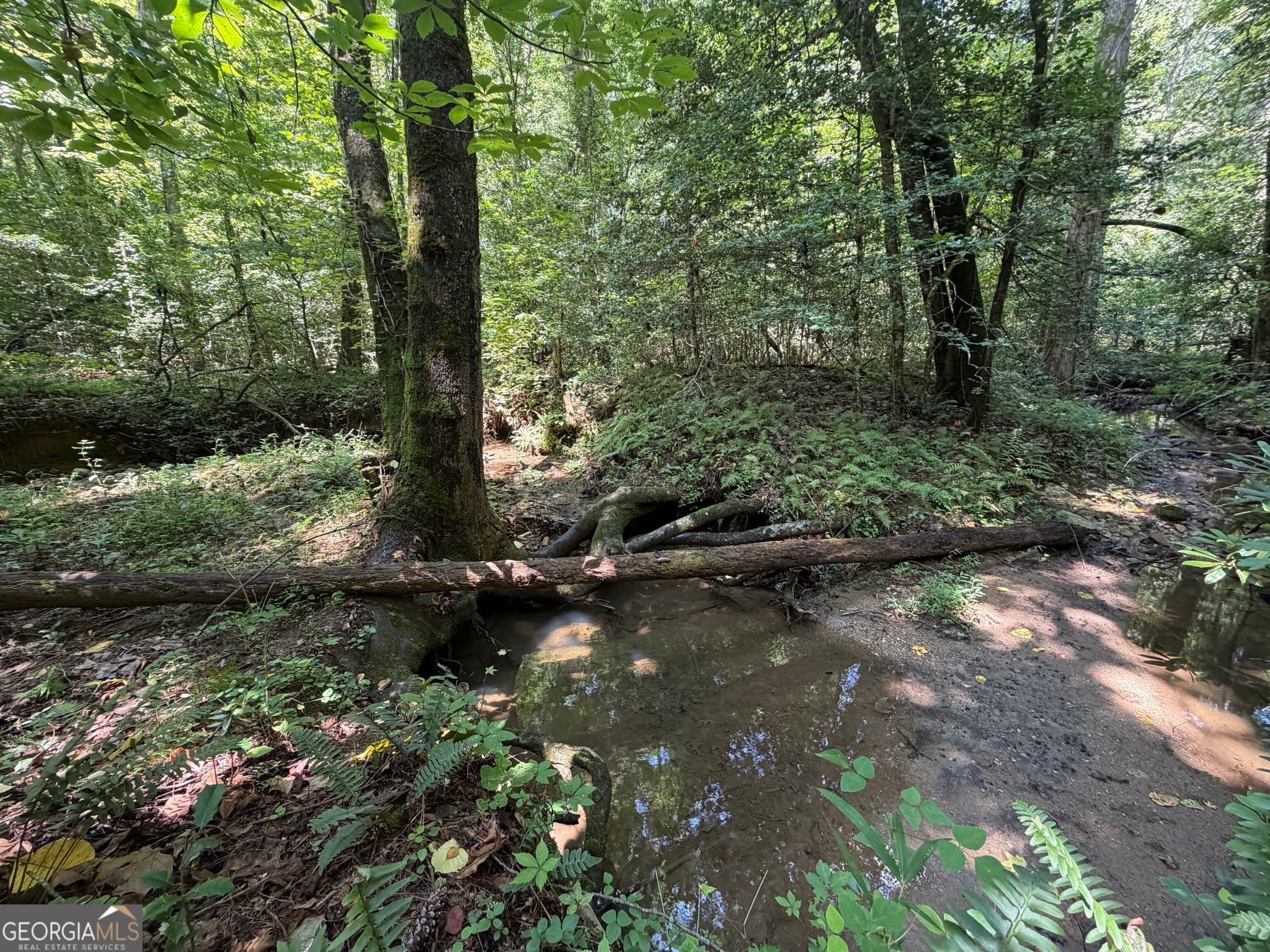 residential lot for sale at 0 Alpine Drive, Sautee Nacoochee, GA 30571 — photo 4