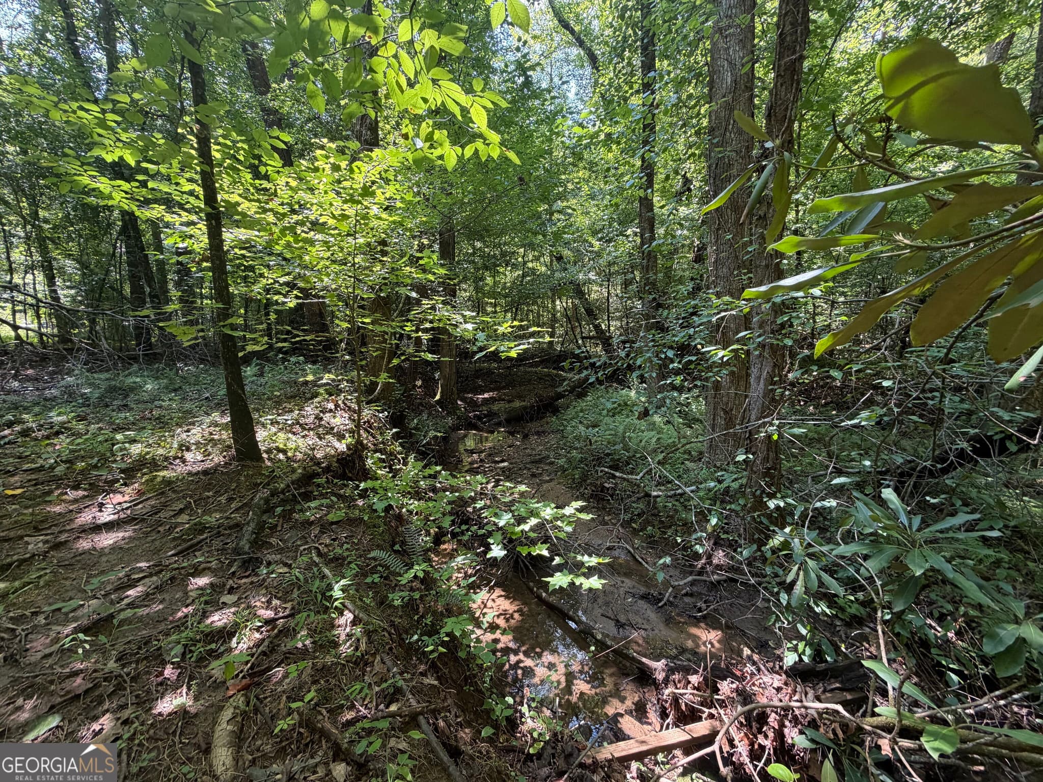 residential lot for sale at 0 Alpine Drive, Sautee Nacoochee, GA 30571 — photo 8