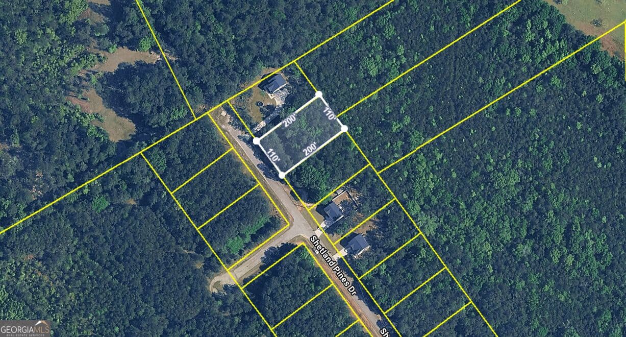 residential lot for sale at 167 Shetland Pines Drive, Macon, GA 31216 — photo 2