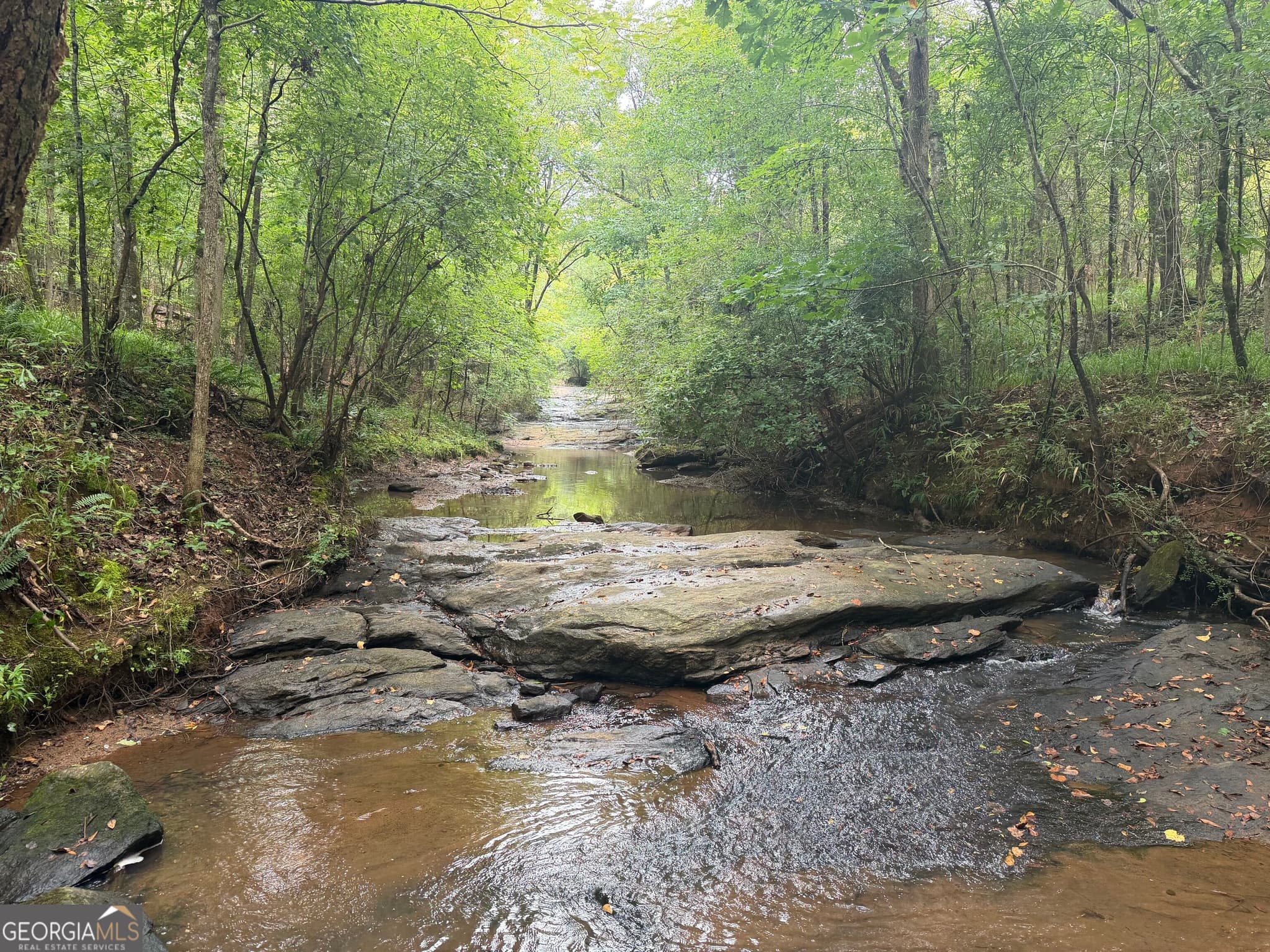 unimproved land for sale at 301 Dub Walker Road, Jackson, GA 30233 — photo 2