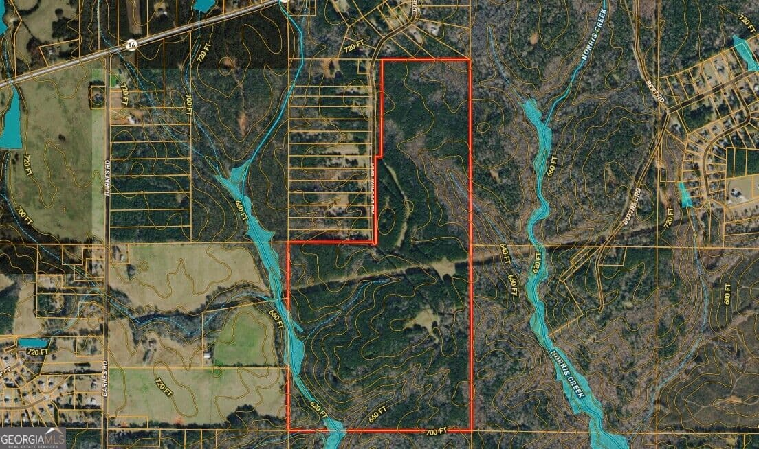 unimproved land for sale at 301 Dub Walker Road, Jackson, GA 30233 — photo 6