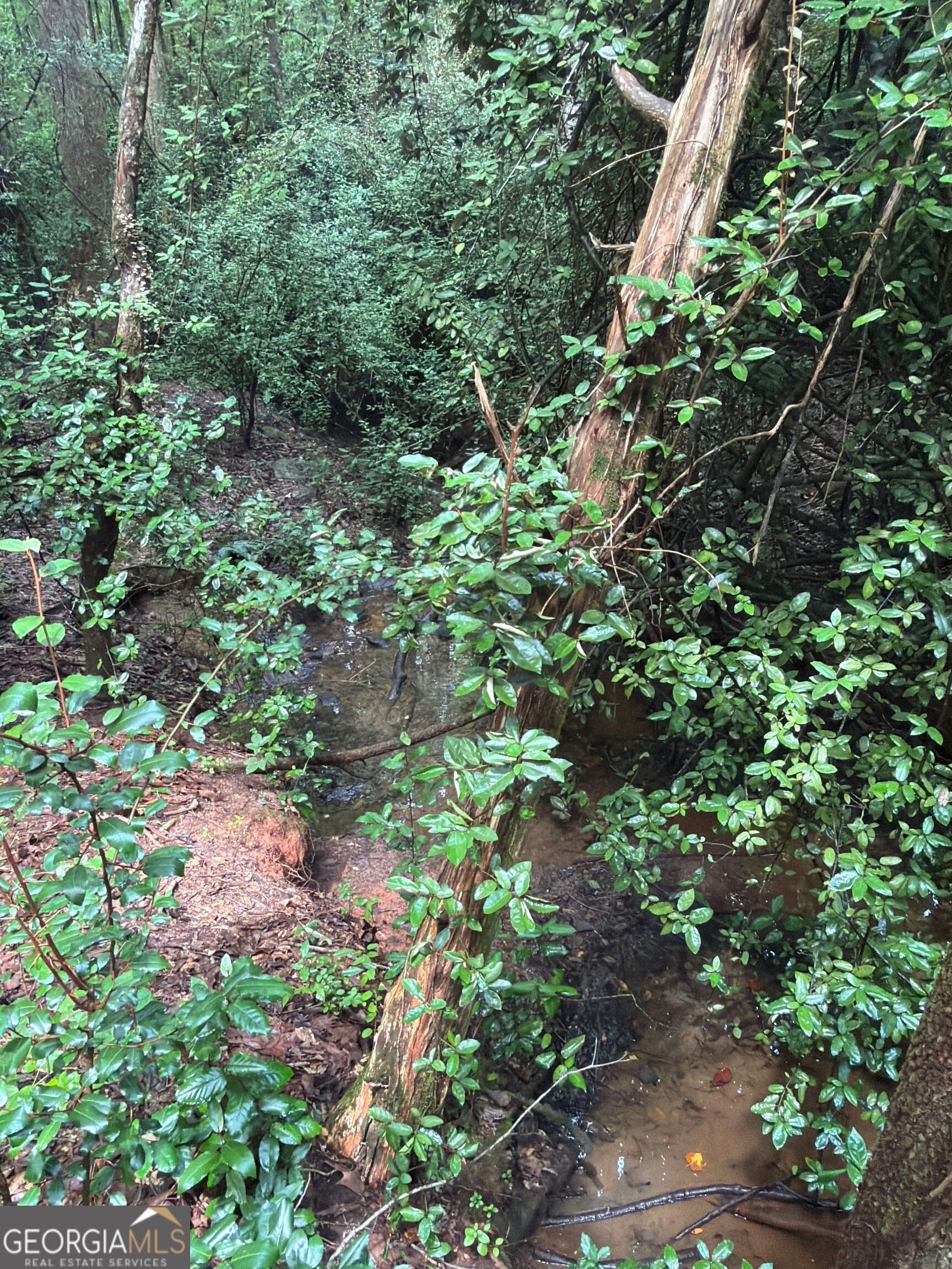 unimproved land for sale at 301 Dub Walker Road, Jackson, GA 30233 — photo 7