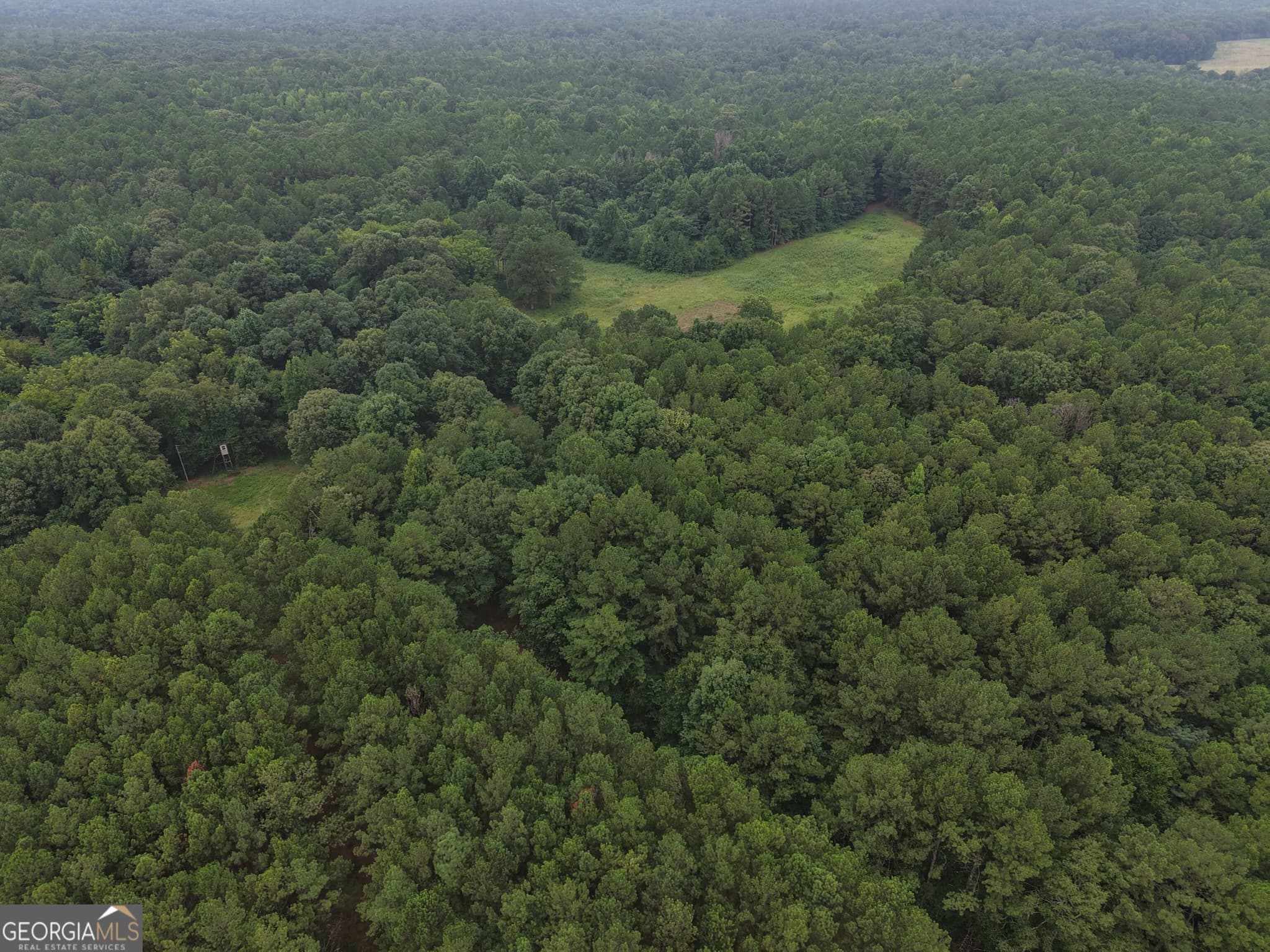 unimproved land for sale at 301 Dub Walker Road, Jackson, GA 30233 — photo 3