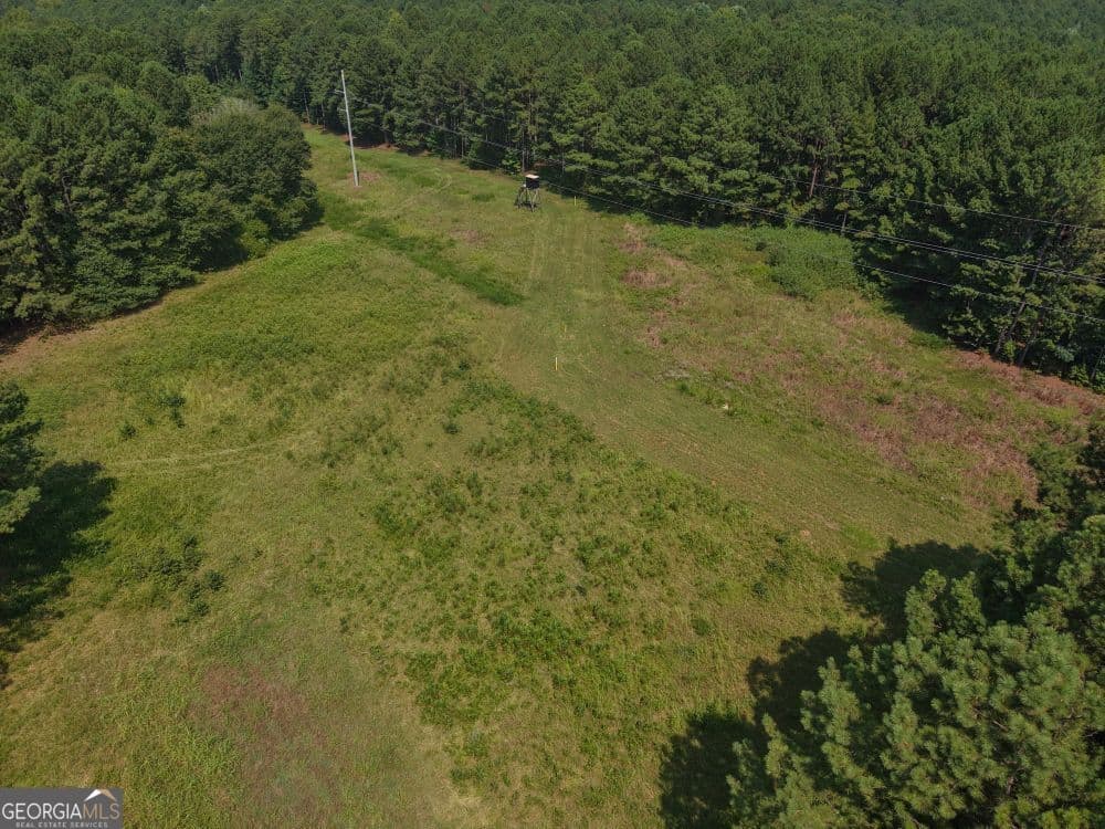 unimproved land for sale at 301 Dub Walker Road, Jackson, GA 30233 — photo 1 of 15
