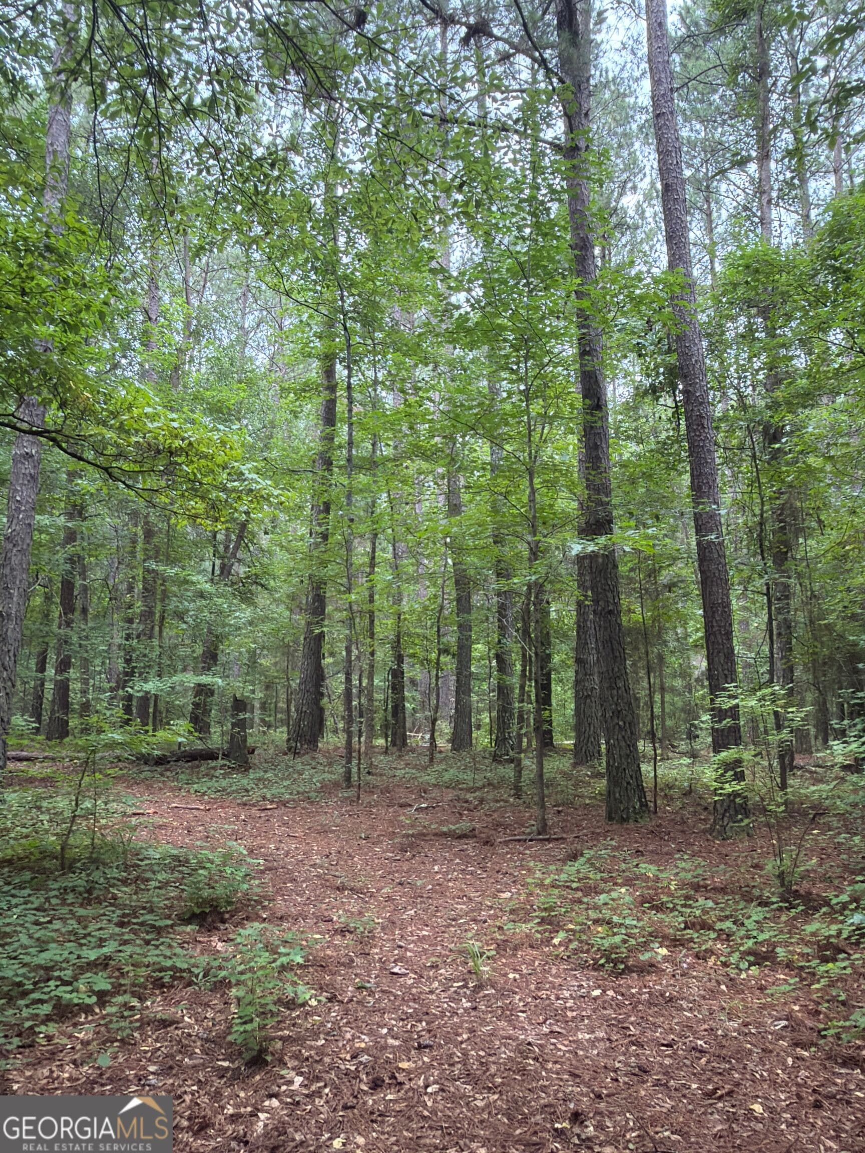 unimproved land for sale at 301 Dub Walker Road, Jackson, GA 30233 — photo 9