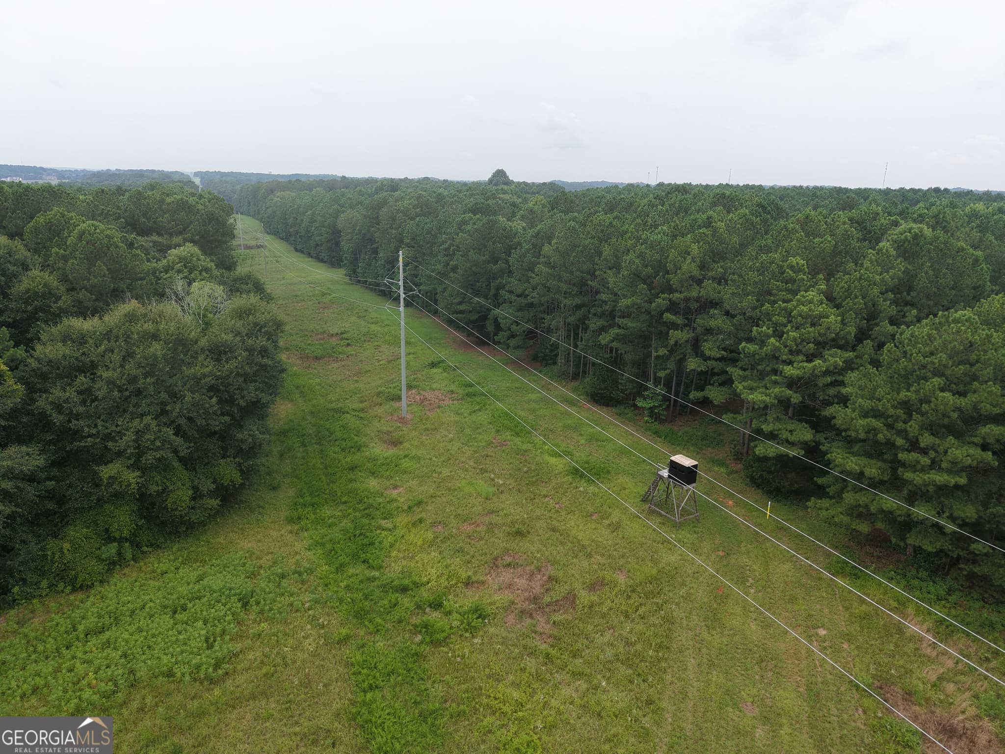 unimproved land for sale at 301 Dub Walker Road, Jackson, GA 30233 — photo 4
