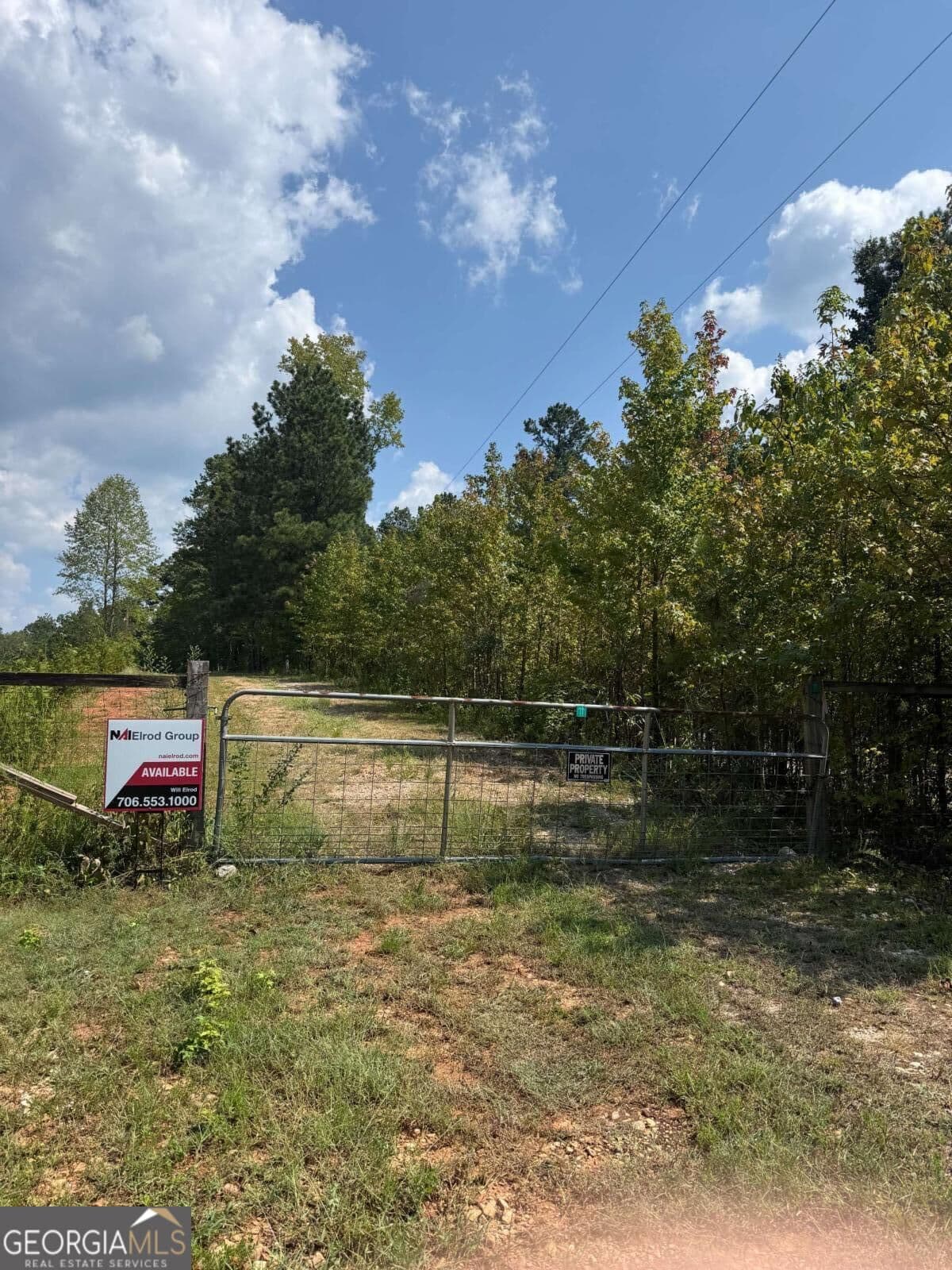 agriculture for sale at 0 Monroe Highway, Bethlehem, GA 30620 — photo 2